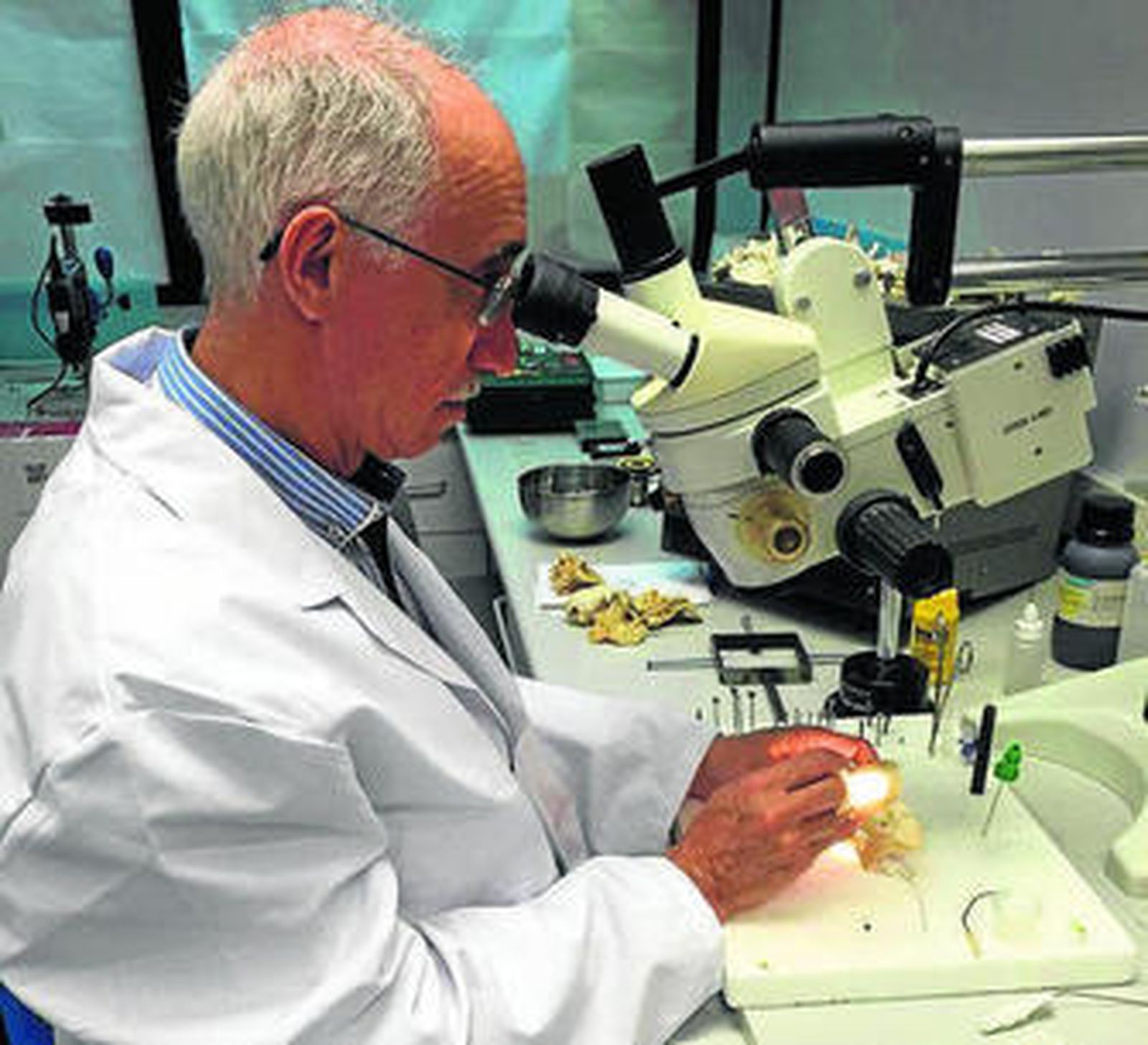 El responsable del proyecto, Rafael Urquiza.