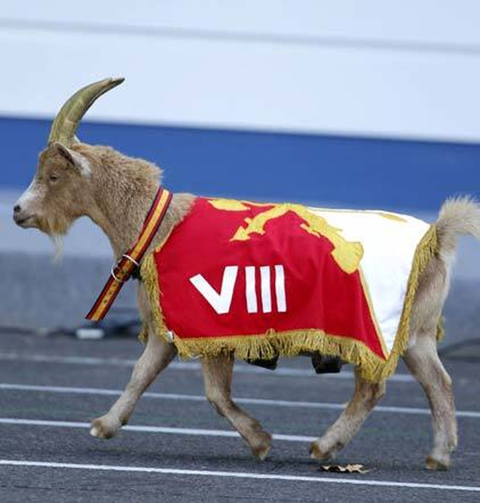 Un 'gaditano' luce en el desfile