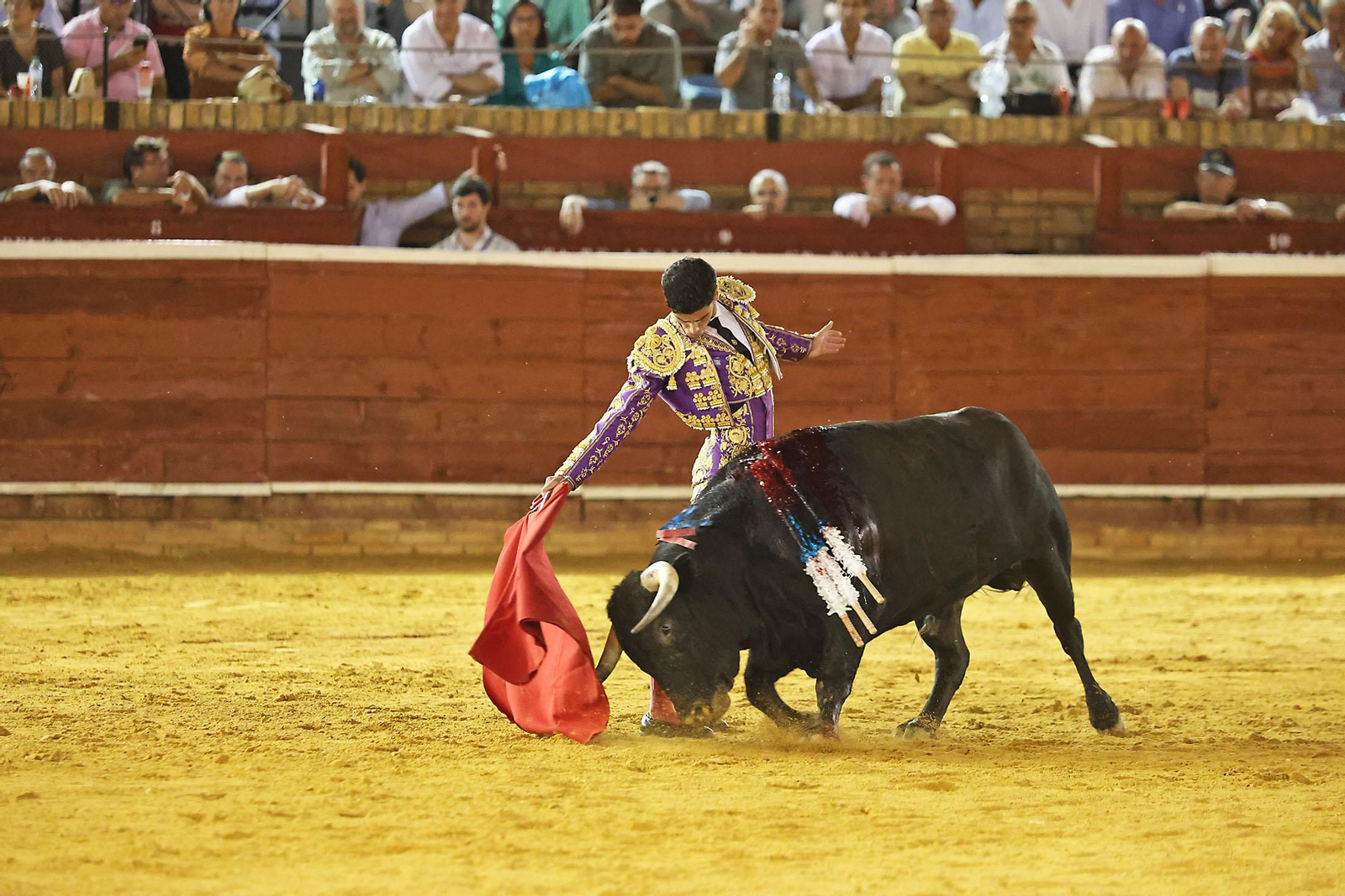 Toros La Merced 2024 Novillada con picadores(