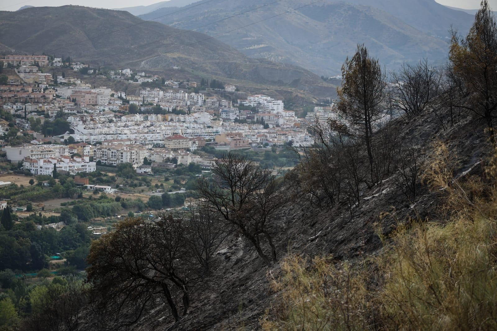 Las imágenes de la Fuente de la Bicha de Granada tras las llamas