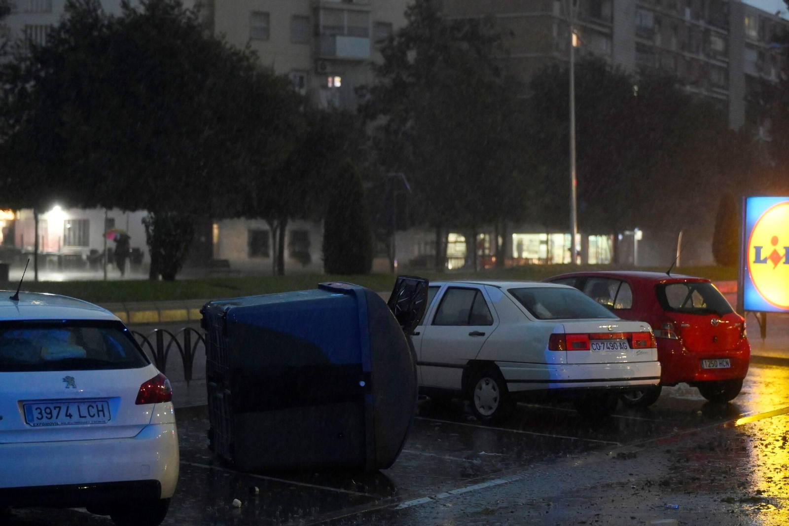 Las imágenes de los daños causados por el fuerte viento en el Sector Sur en Córdoba