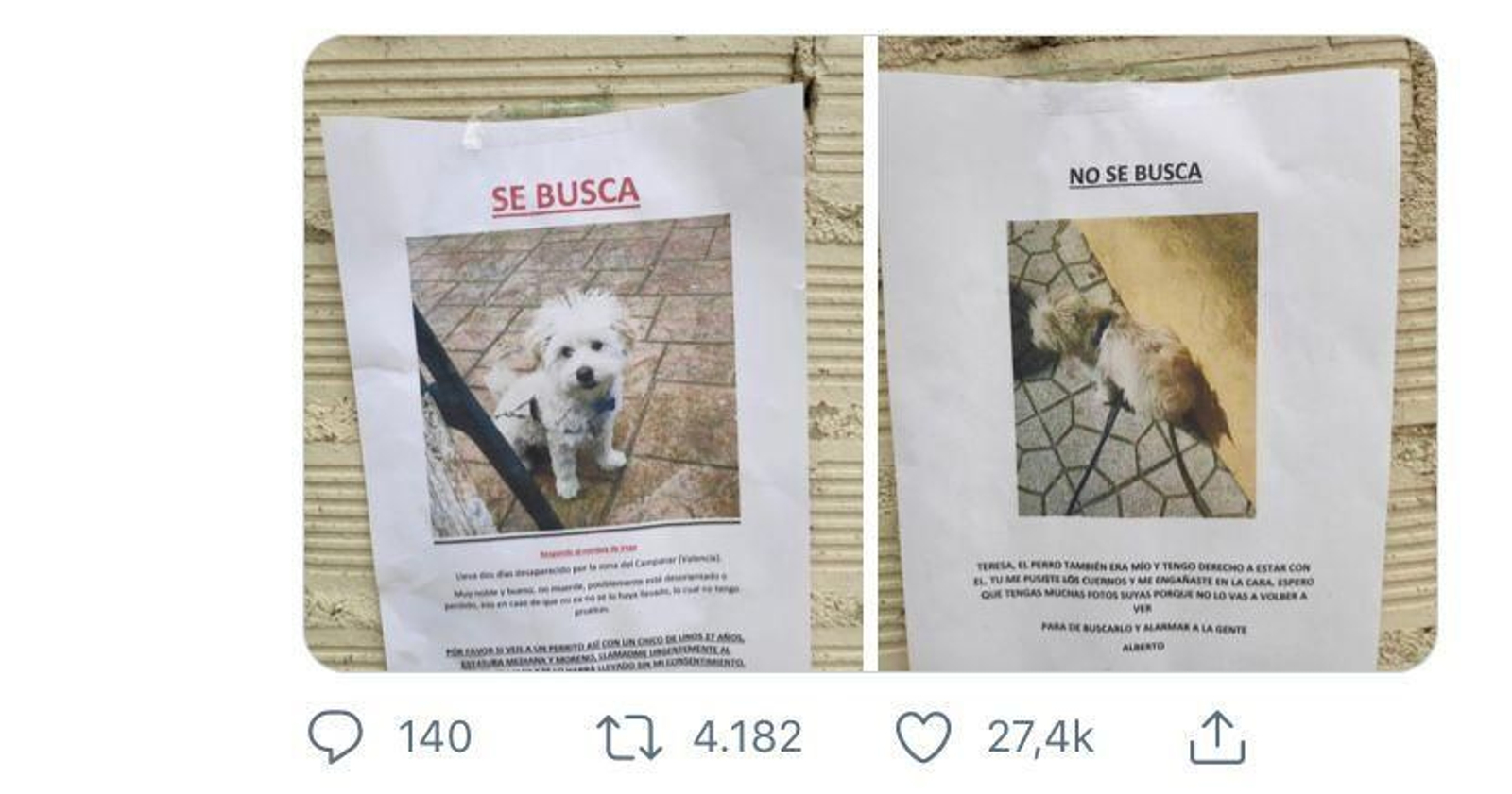 Viral pelea de ex novios sobre la "desaparición" del perro