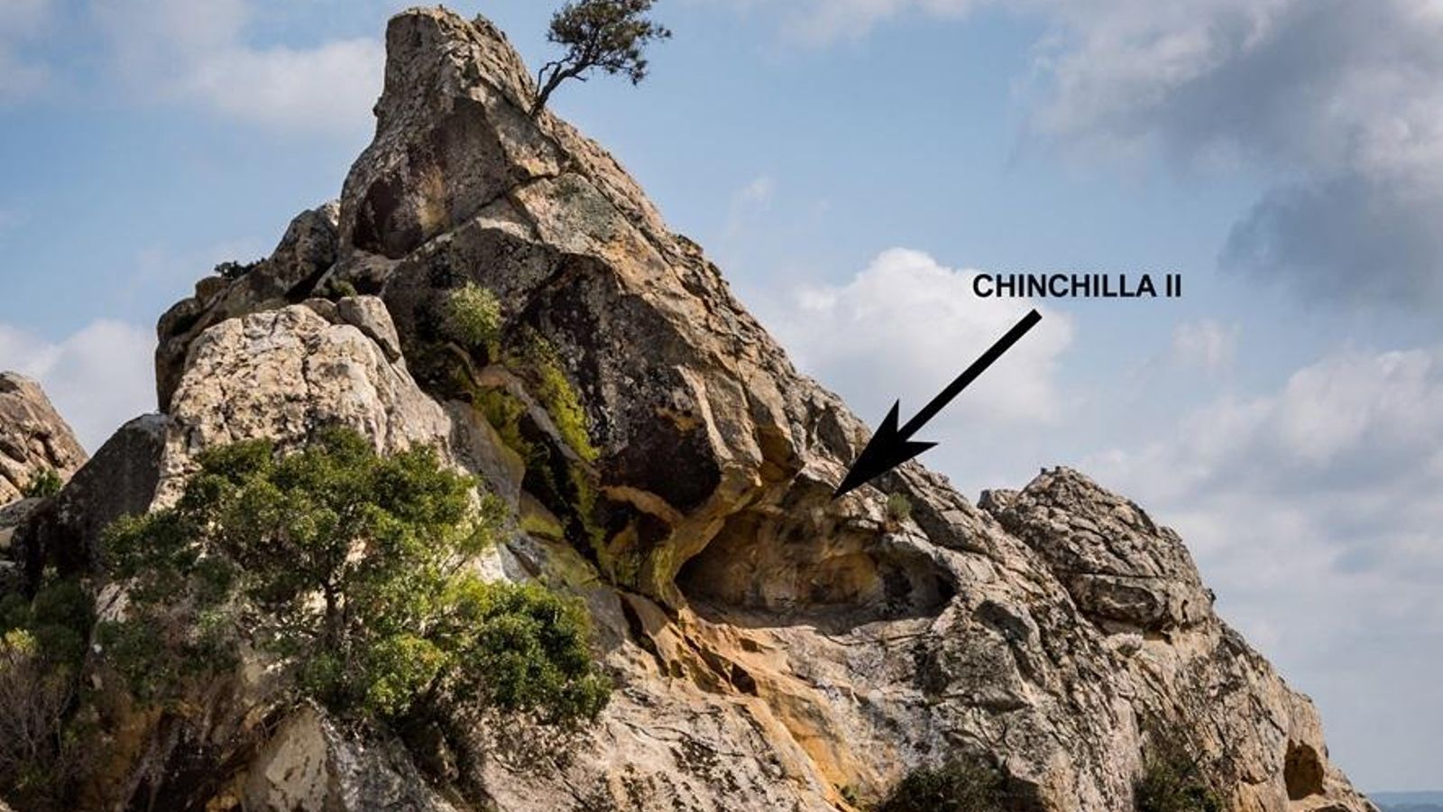 Enclave de Chinchilla II