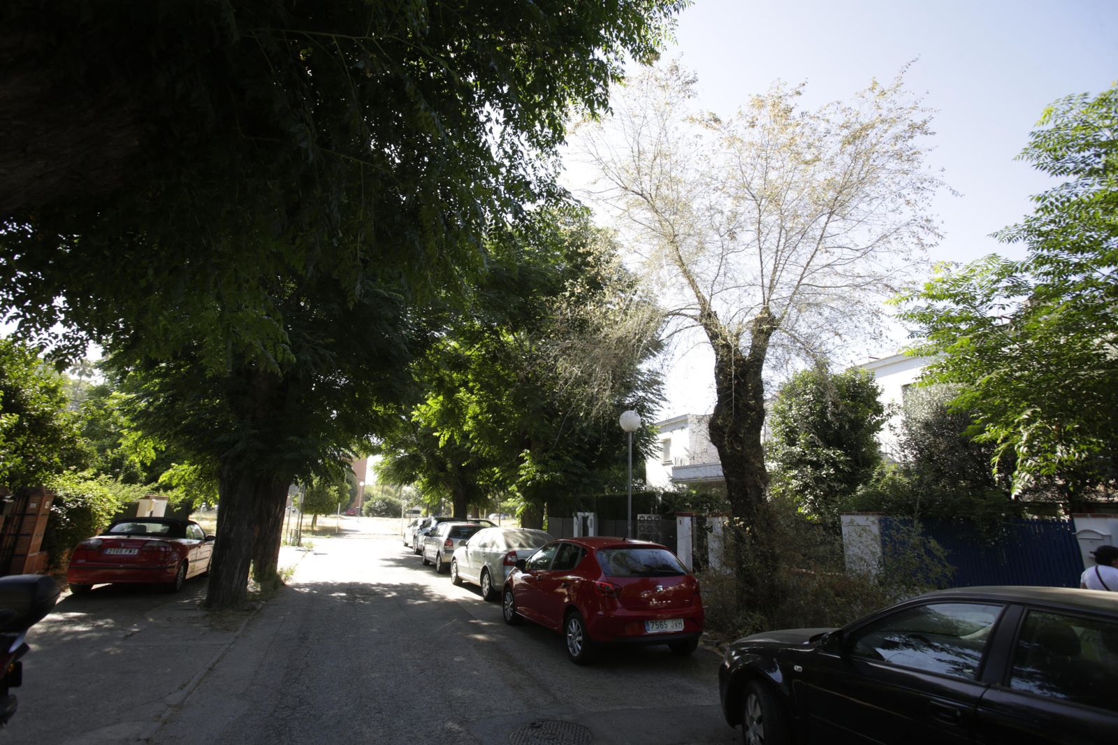 Una de las calles de Tablada.