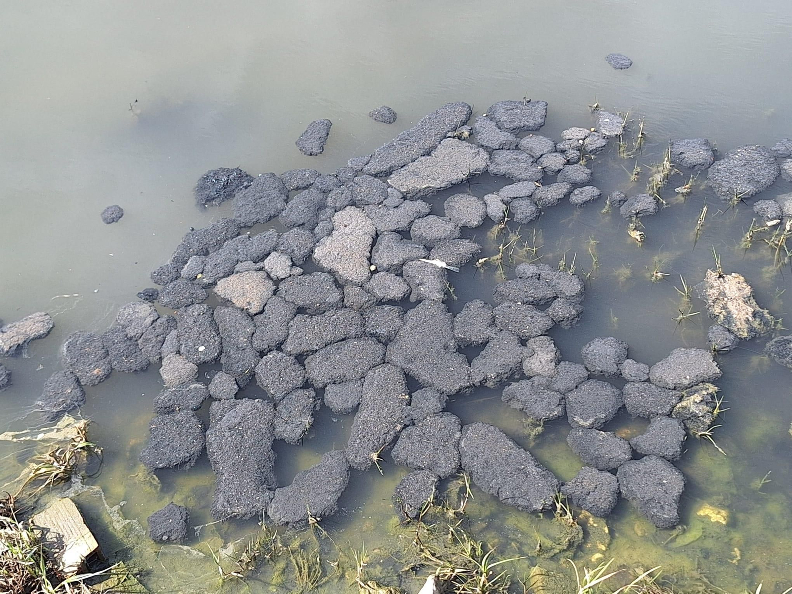 El vertido de aguas fecales en la playa de Los Lances de Tarifa, en imágenes.