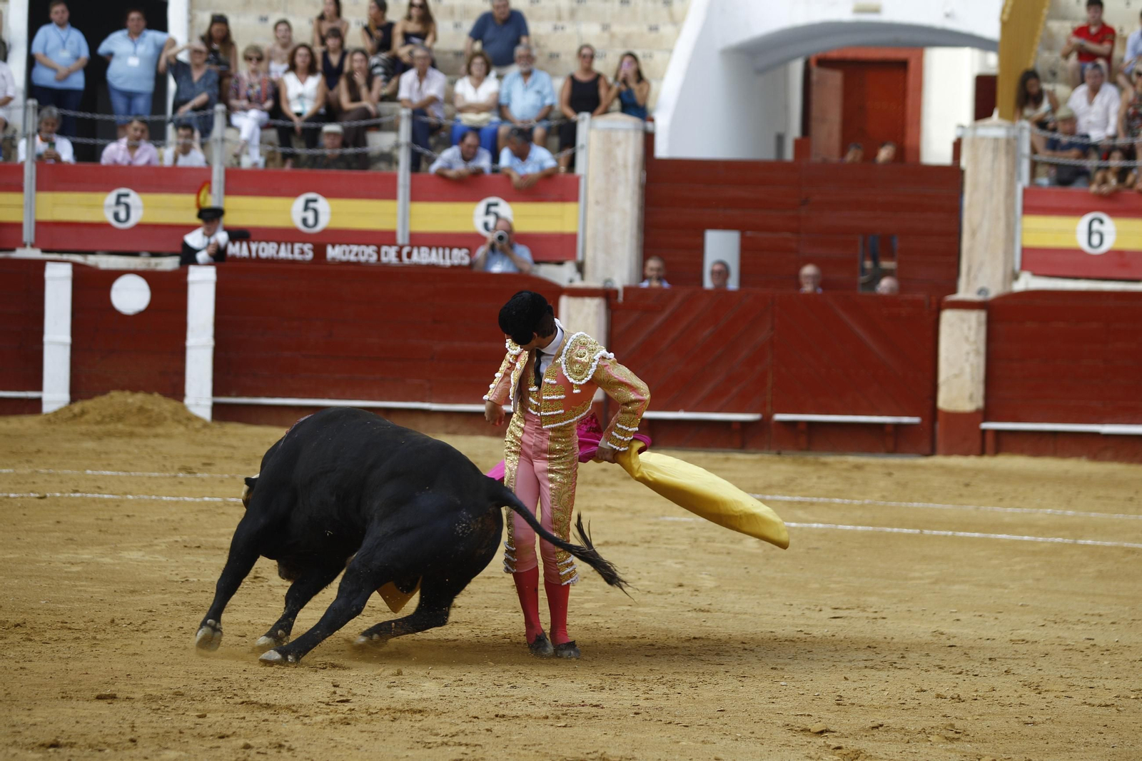 Imágenes de la novillada de la Feria de Almería 2025