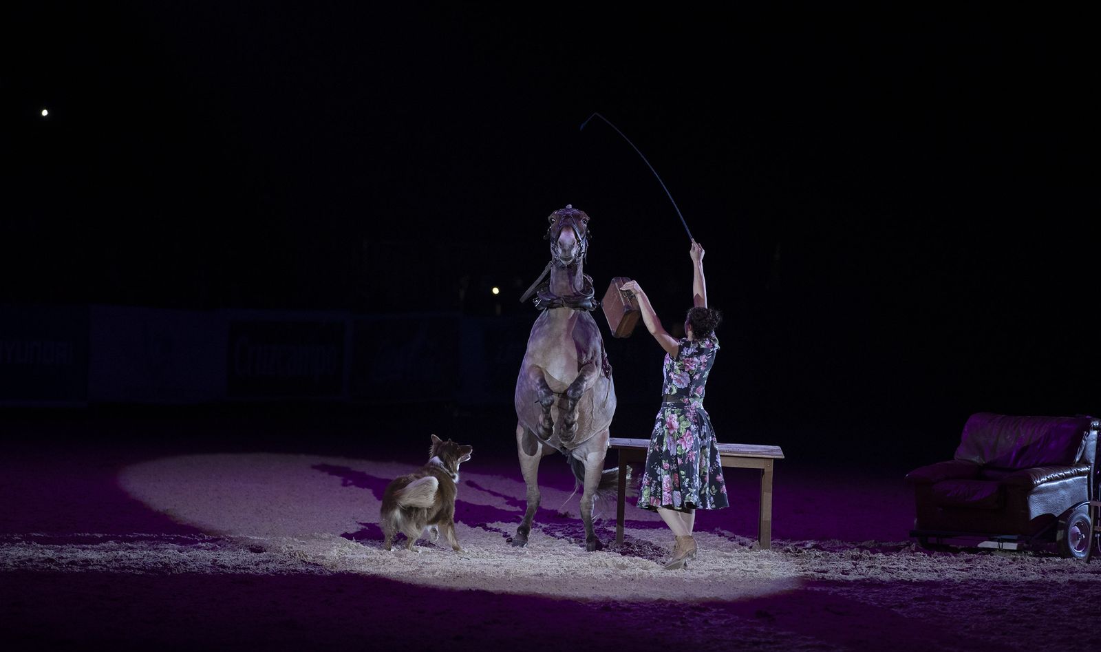 El espectáculo del SICAB 2019, en imágenes