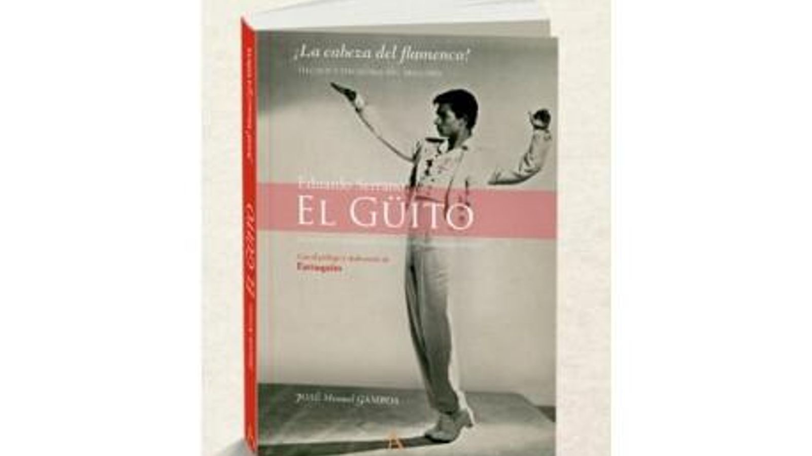 El libro de José Manuel Gamboa sobre 'El Güito'