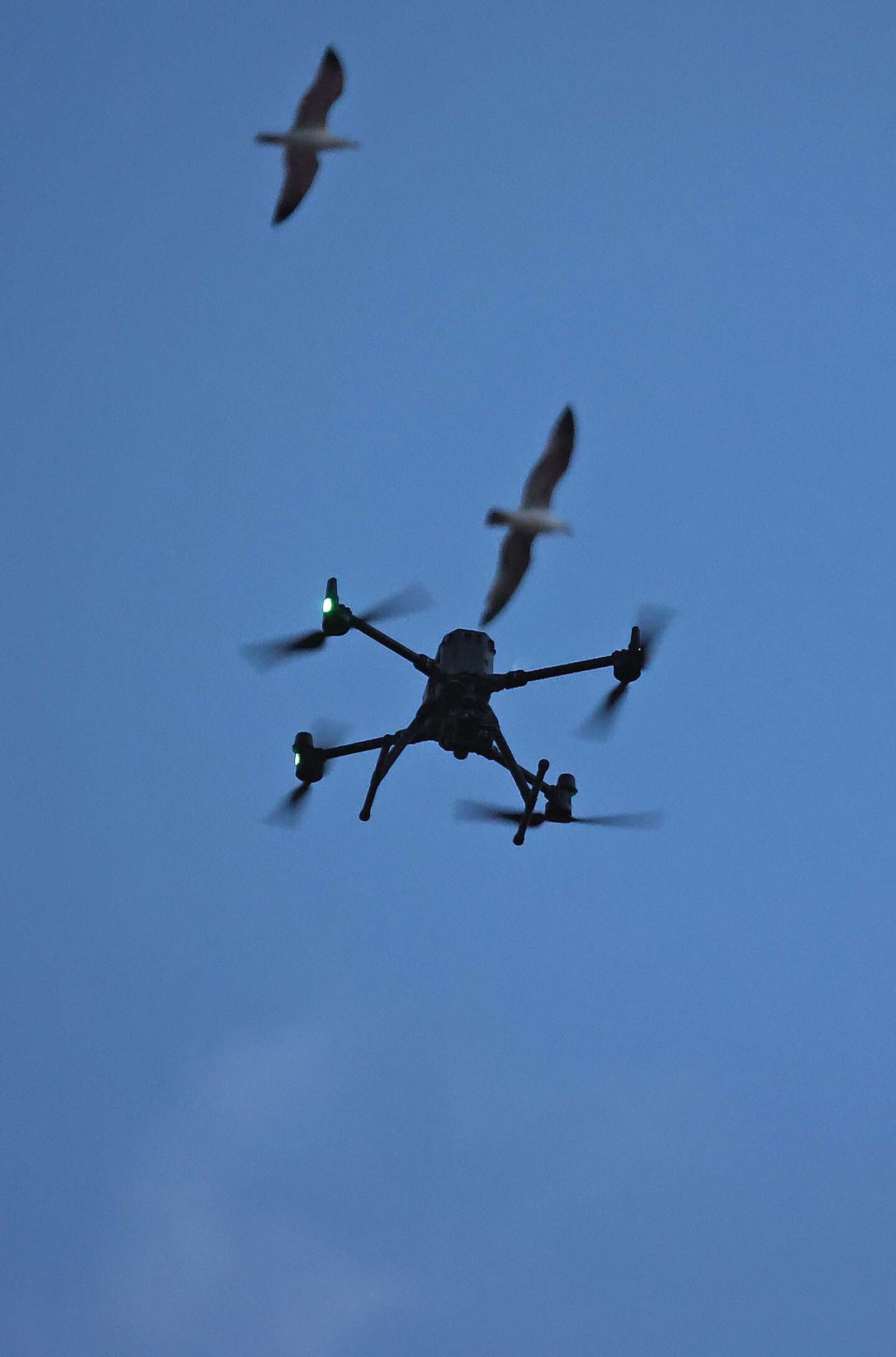 Fotos del Martes Santo en Algeciras: Medinaceli