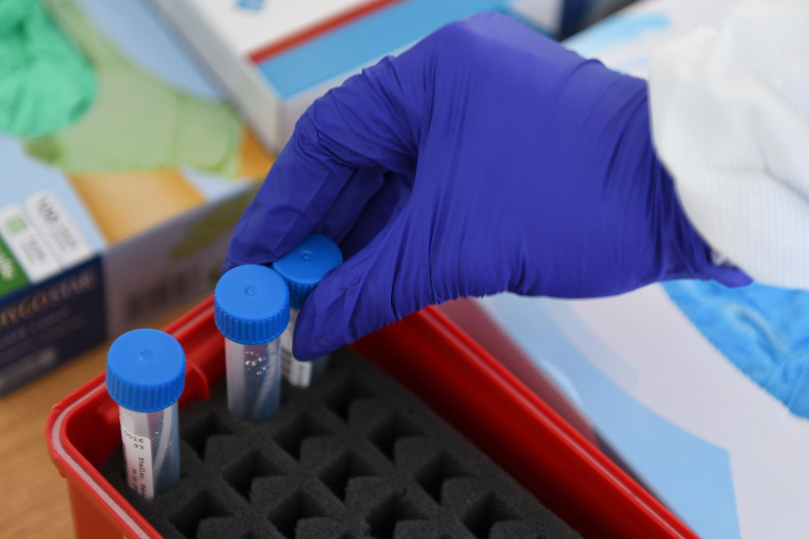 Laboratorio para el análisis de pruebas de covid.