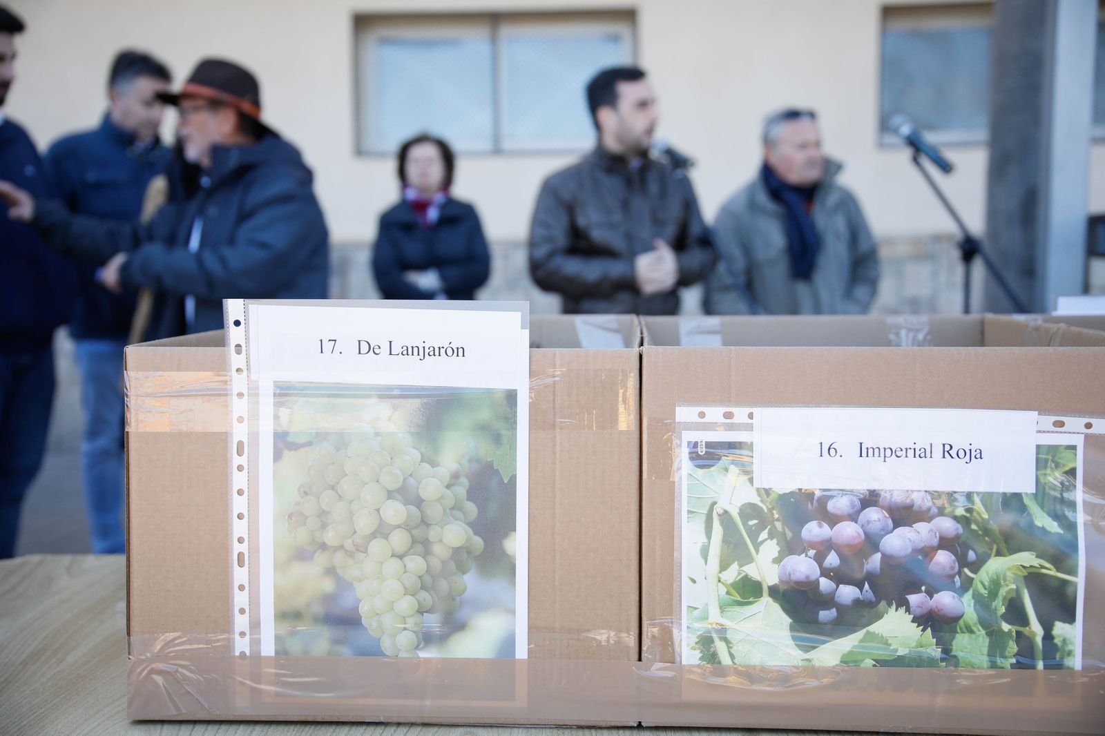 Imágenes del reparto de Parras en Alhama de Almería