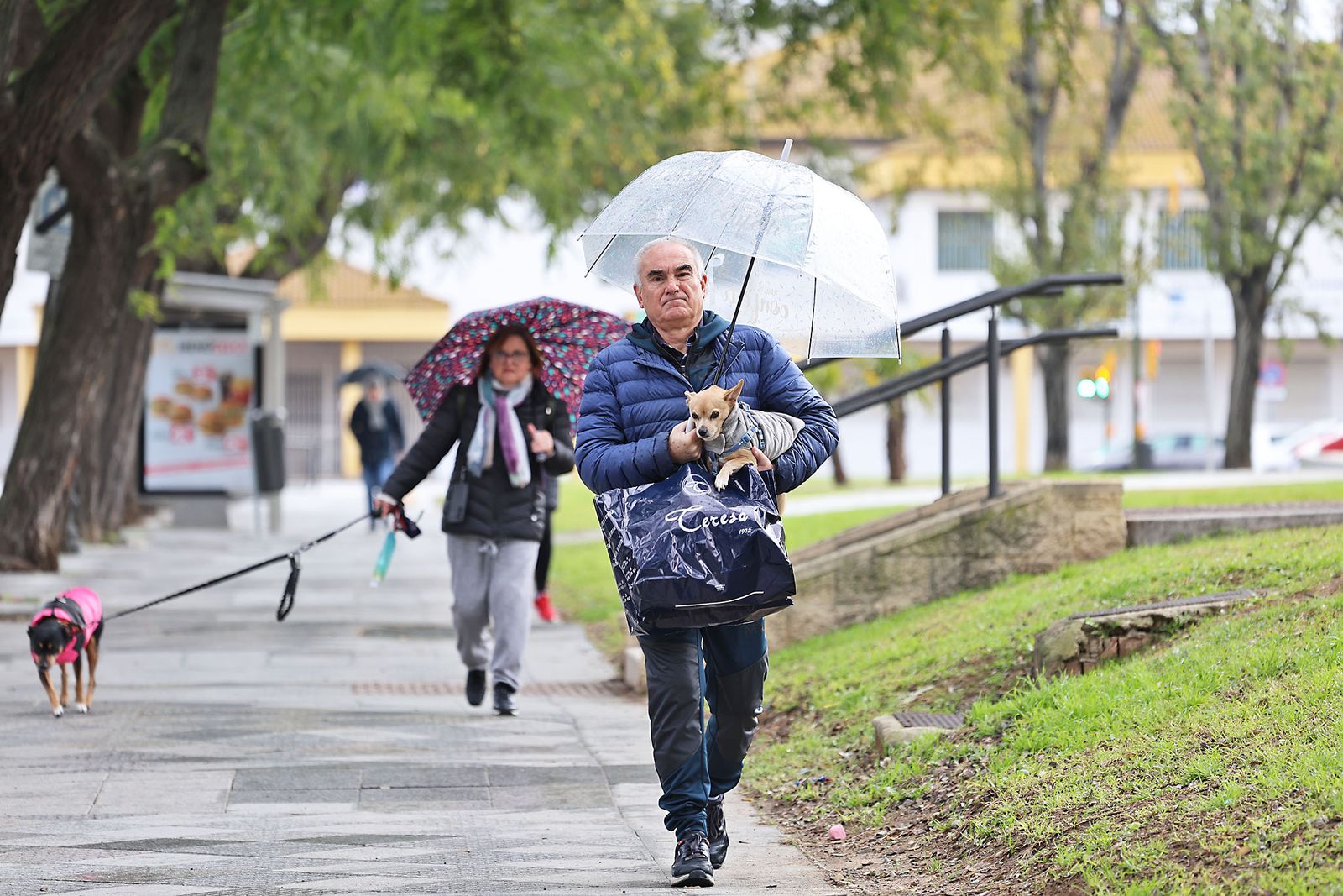 Lluvia y frío intenso en la mañana de miércoles