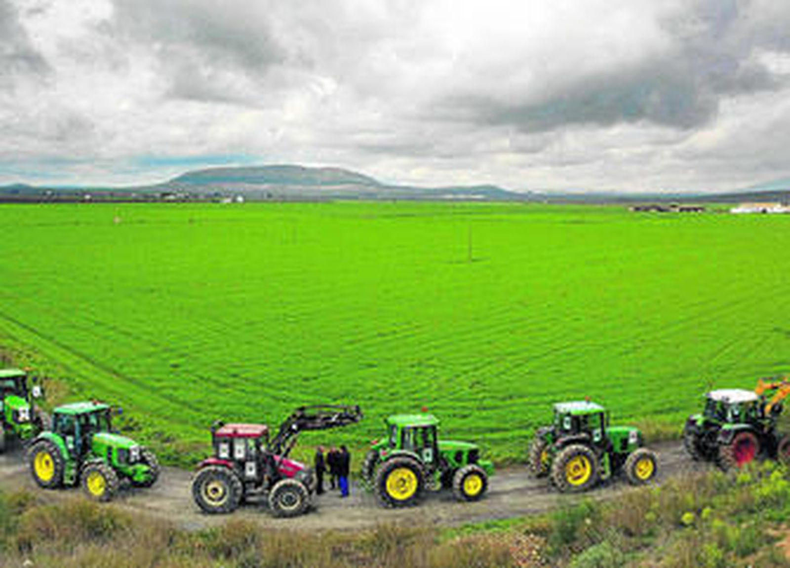 Vista de los terrenos de la Vega de Antequera, que se verá afectada por la construcción de esta infraestructura.