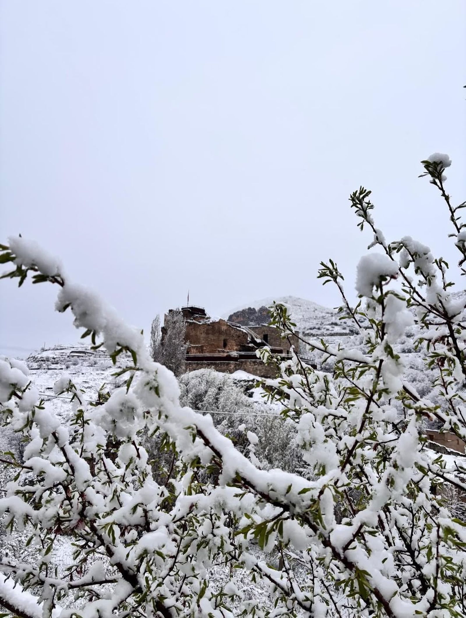 La nieve ha cubierto Bacares este 10 de marzo