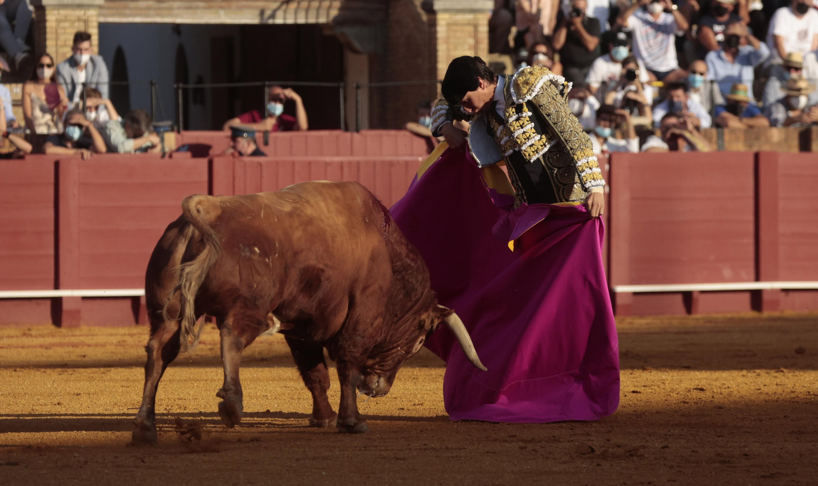 Las imágenes del triunfo de Morante en San Miguel