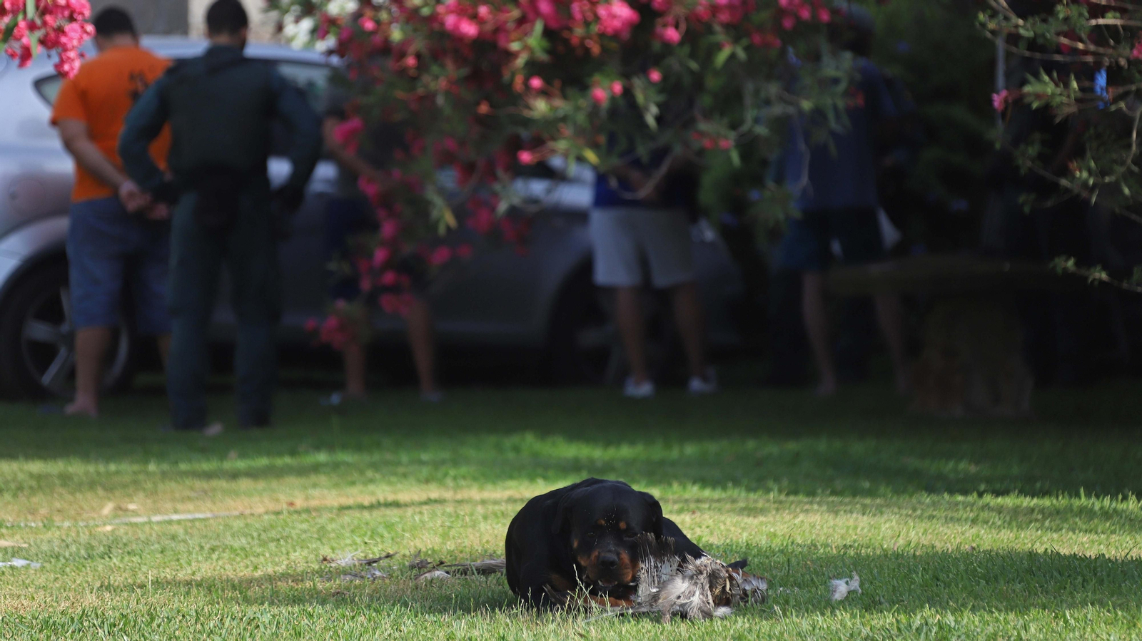 Registros de la Guardia Civil en San Roque y Los Barrios