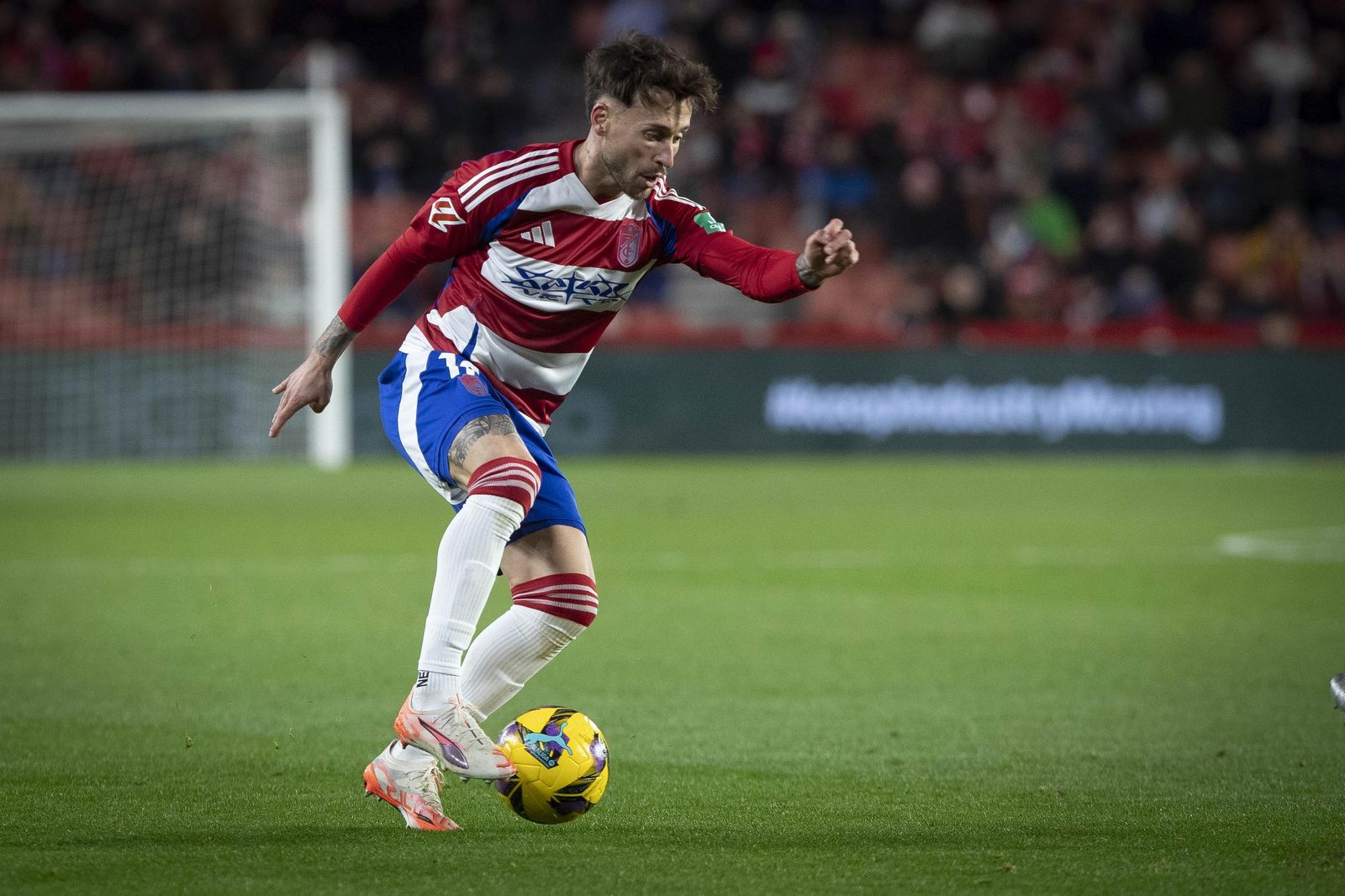 Las mejores imágenes de la victoria del Granada ante el Oviedo