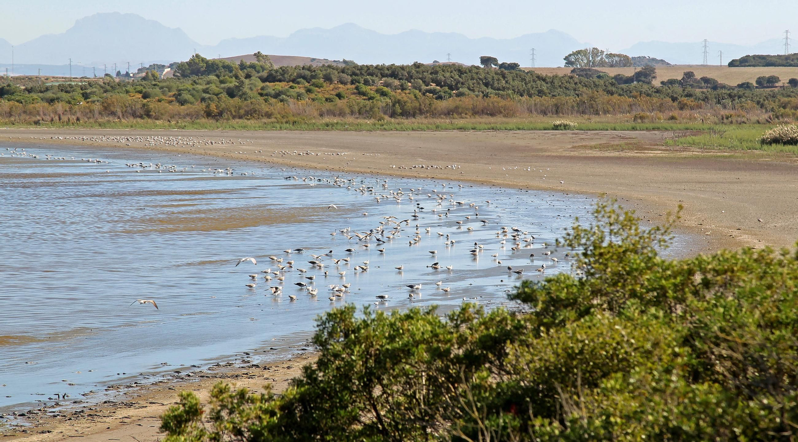 Una imagen de la Laguna de Medina.