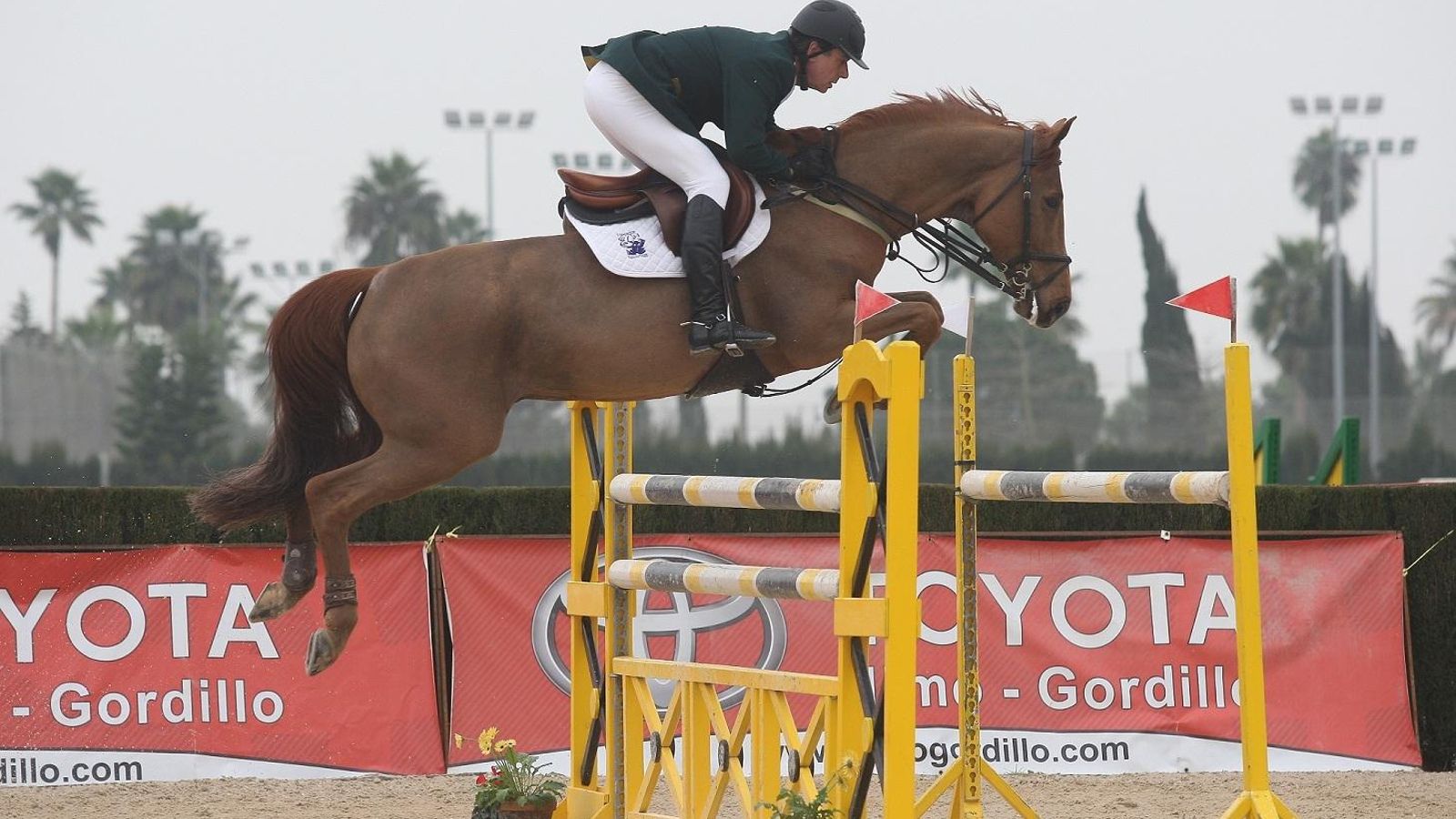 El duque de Arjona, en una competición hípica.