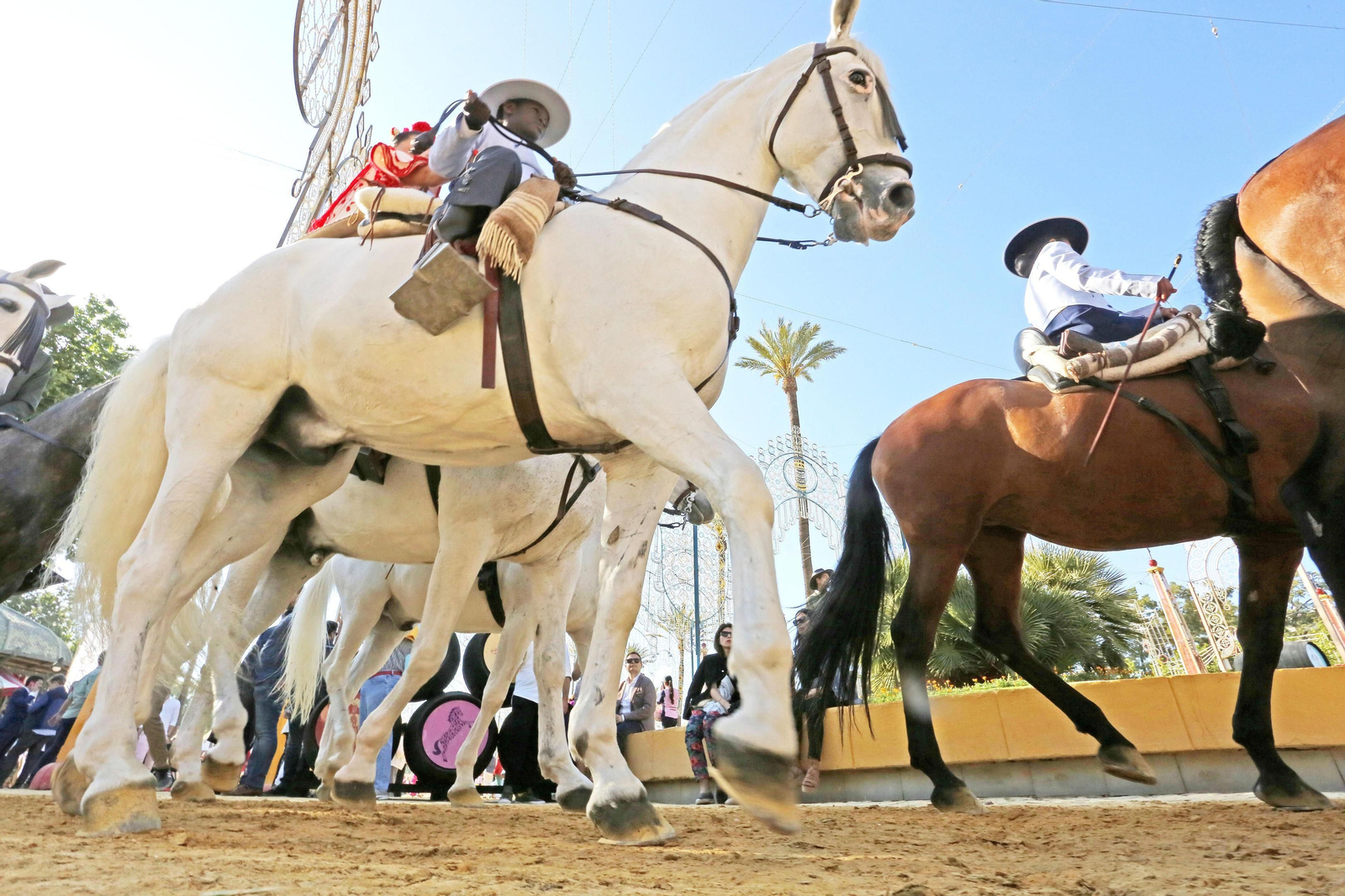 Caballistas paseando en la tarde de ayer por el González Hontoria