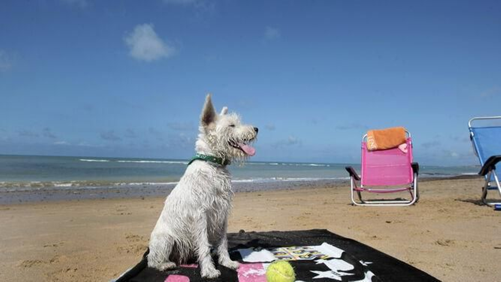 Playa para perros en Isla Cristina