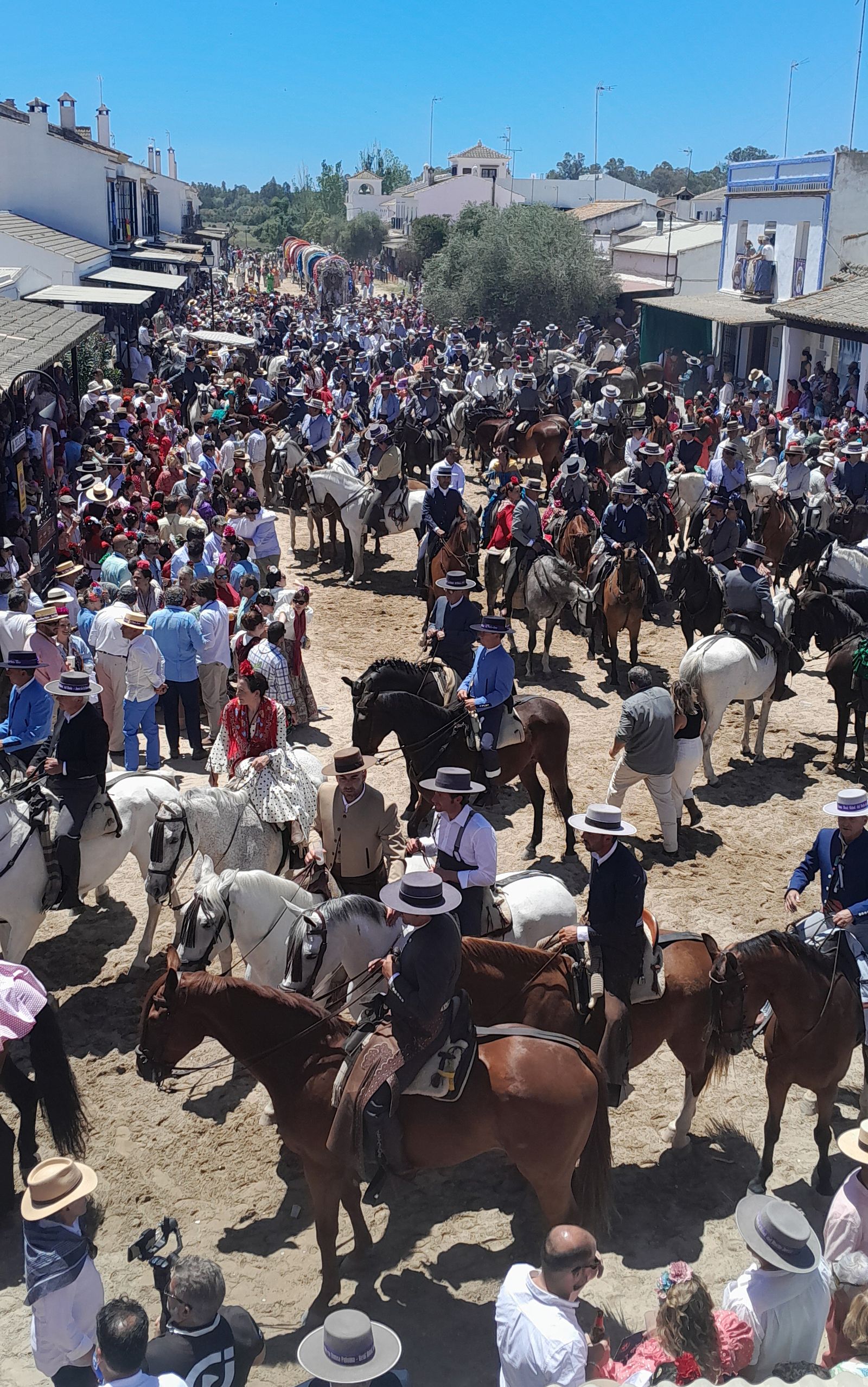 Imágenes de la llegada a la Aldea y presentación de la Hermandad del Rocío de Jerez