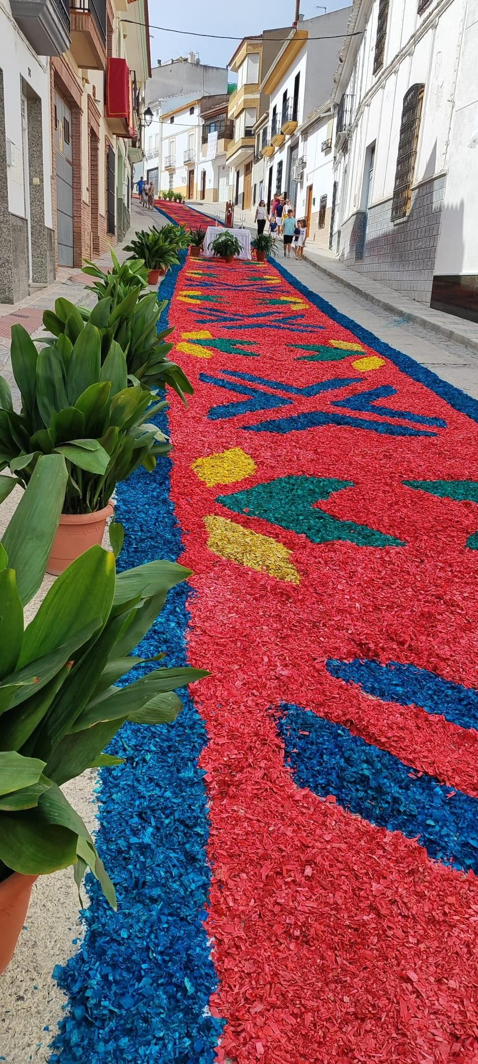 Alfombras del Corpus en Valenzuela Alfombras del Corpus en Valenzuela
