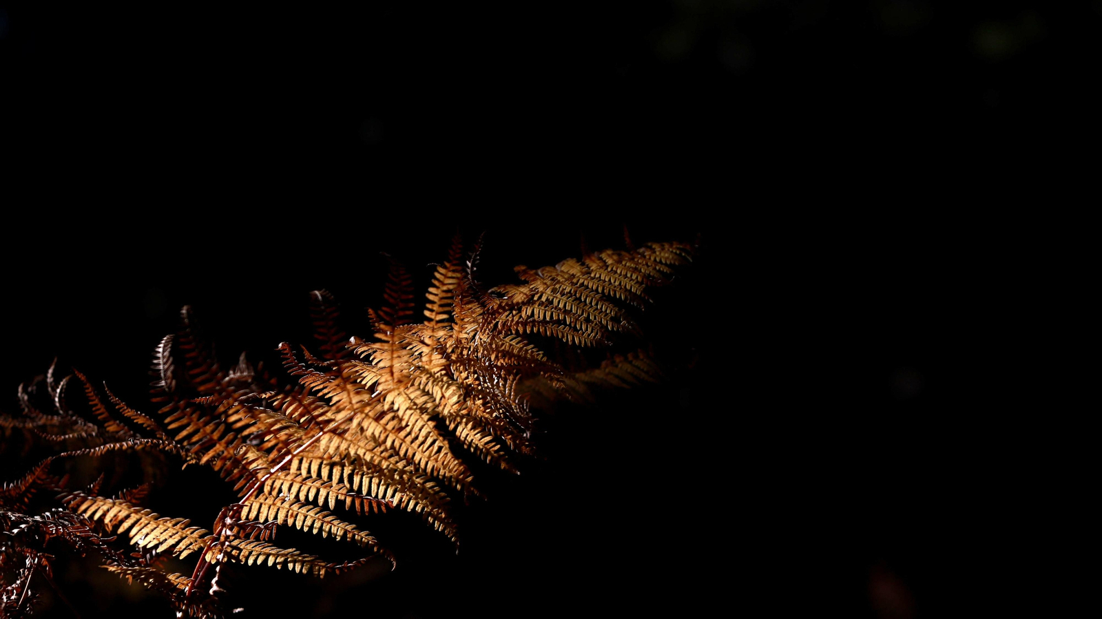 Las mejores fotos del Tajo de las Escobas