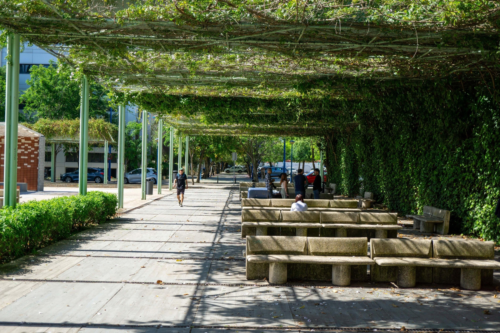 Fotogalería de las instalaciones del proyecto Cartuja Qnat, el aire natural para Sevilla