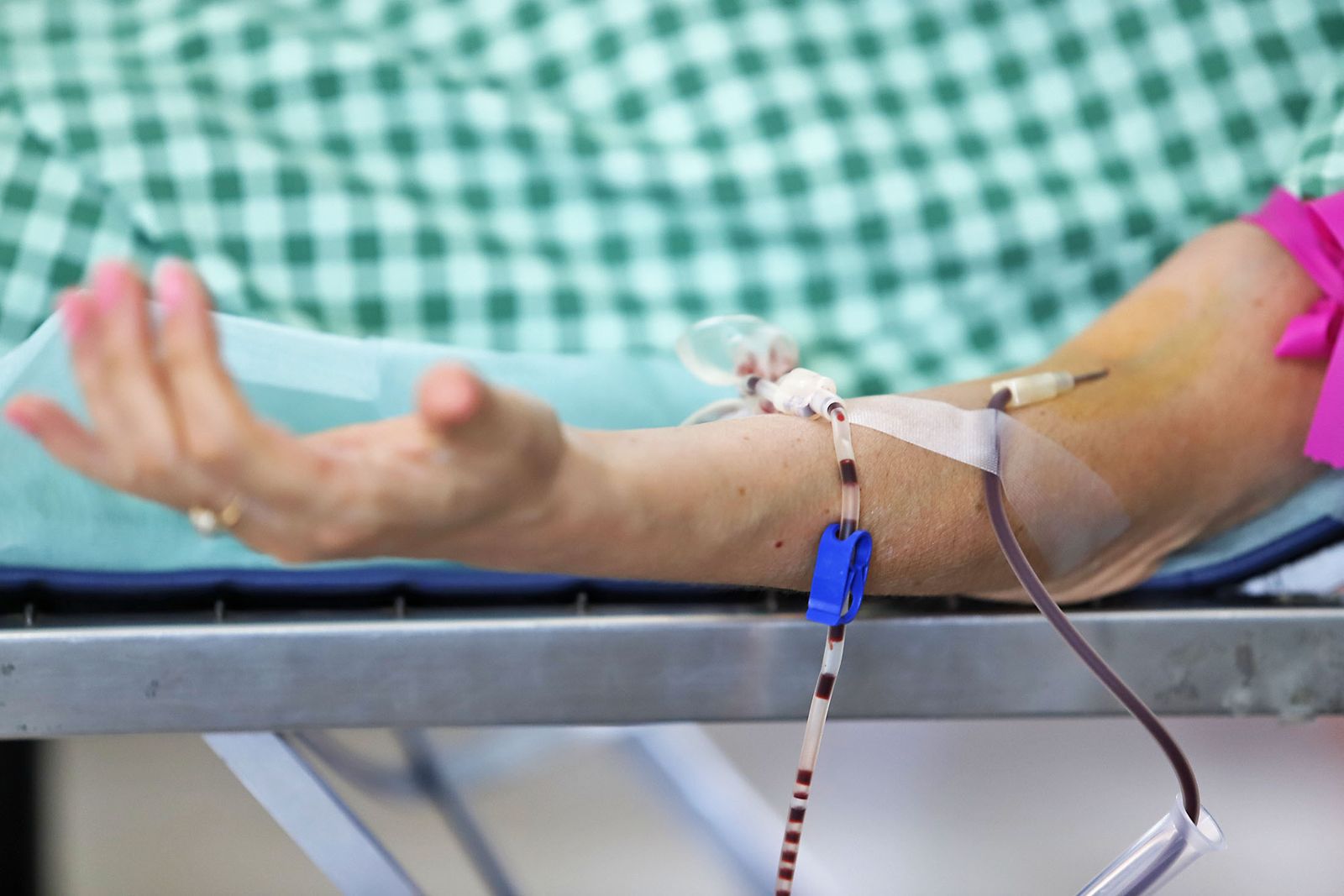 Imágenes de la Macrocolecta de sangre en la Casa Colón