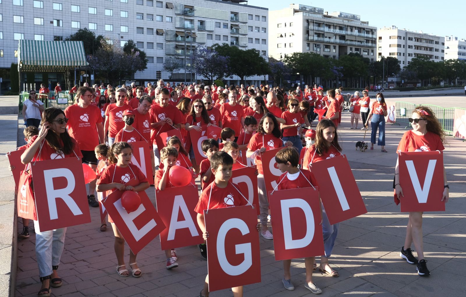 La Marcha por la Donación de Órganos de Córdoba, en imágenes