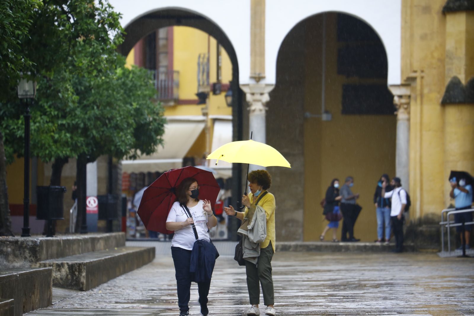 Córdoba vuelve a los días de lluvia en imágenes
