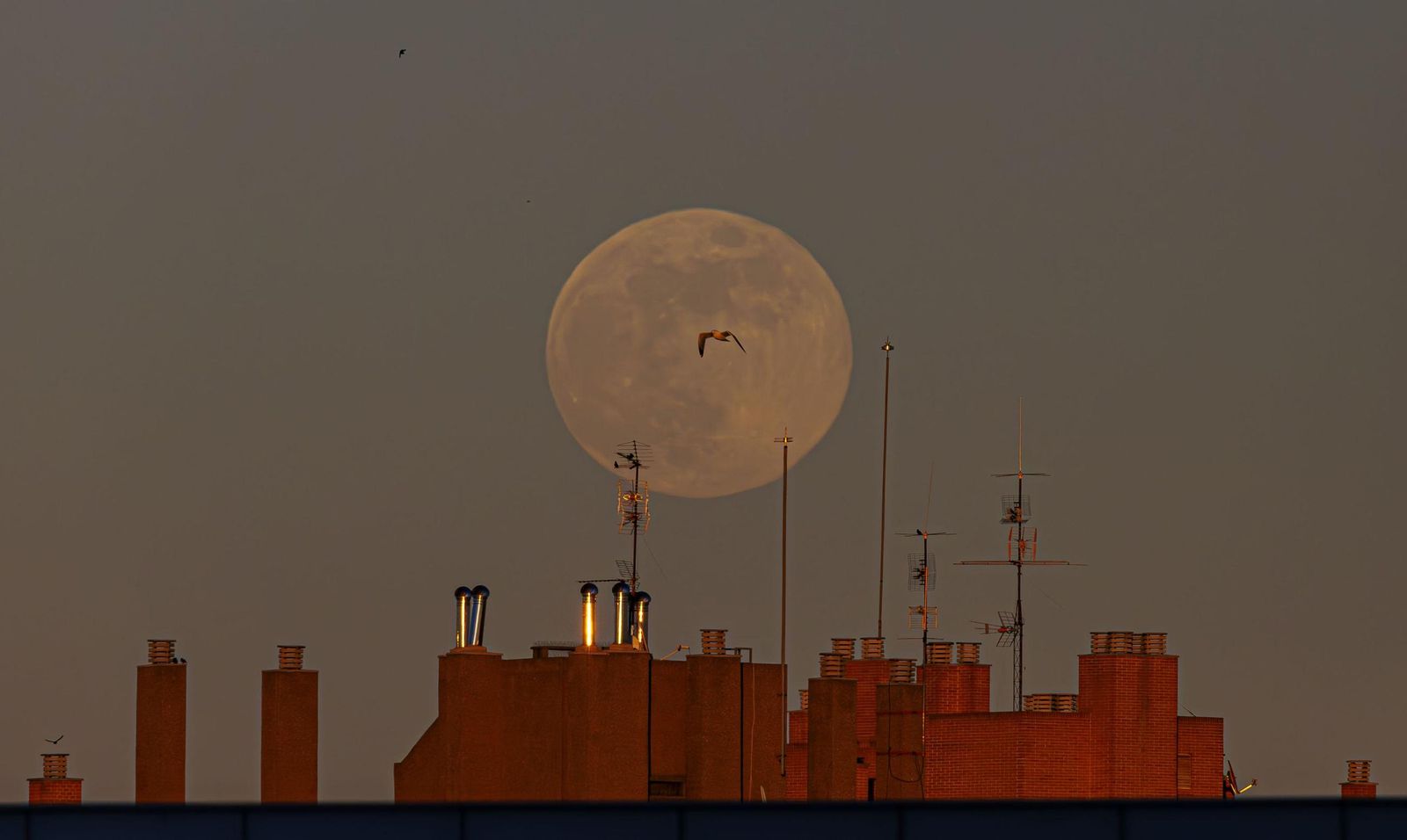 Las imágenes de la primera luna llena de invierno