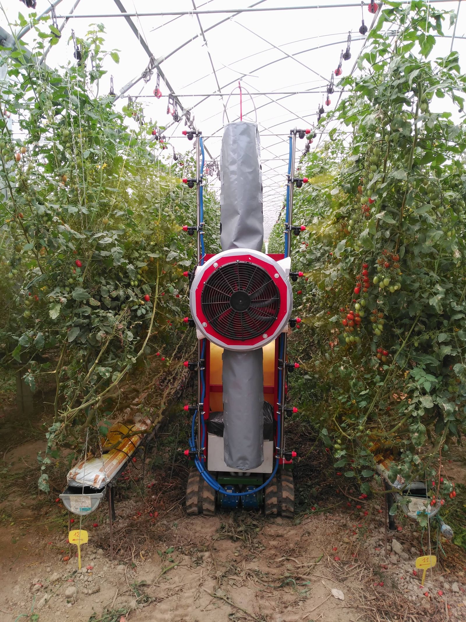 Robot Spray en el invernadero