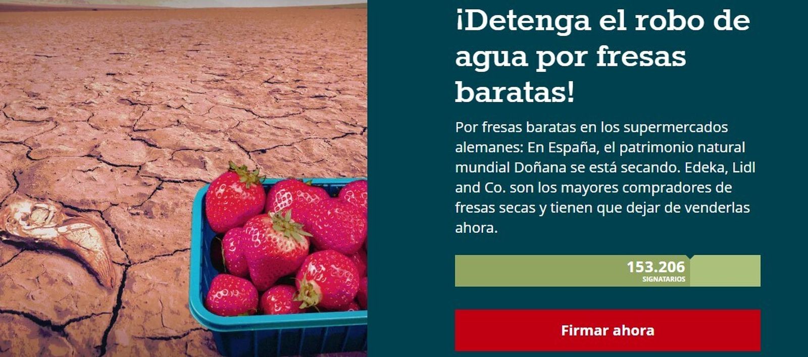 La campaña alemana que trata de reunir firmas contra la venta de frutos rojos de Huelva en los supermercados germanos