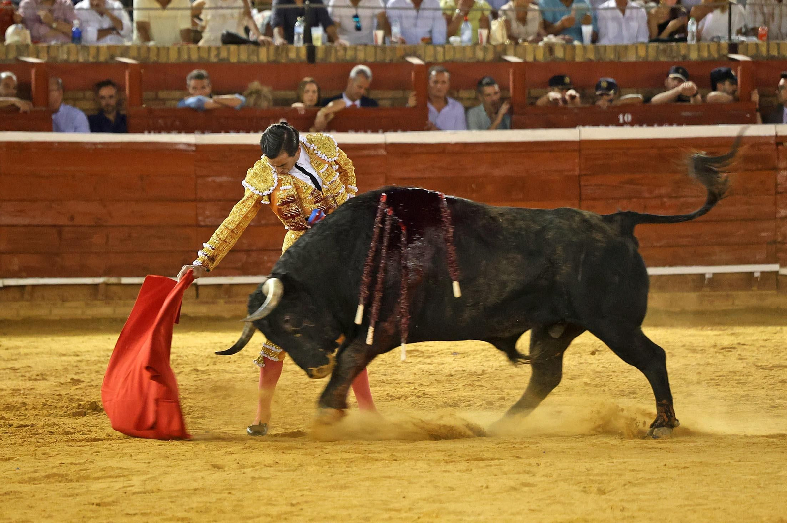 Toros La Merced 2025: Imágenes de la Corrida de Toros de Morante de la Puebla, Daniel Luque y Juan Ortega