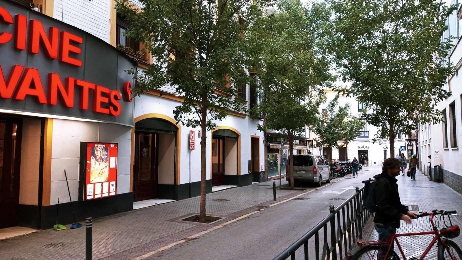 Las sóphoras a la altura del Cine Cervantes