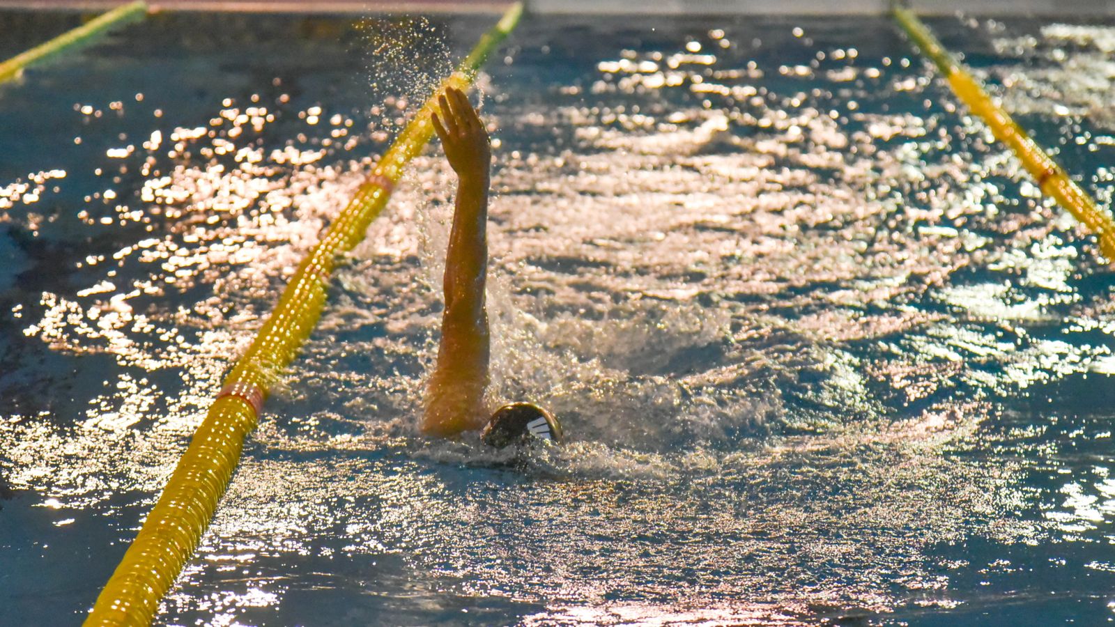Las fotos de la primera jornada del IV Trofeo Natación ‘Villa de Los Barrios’