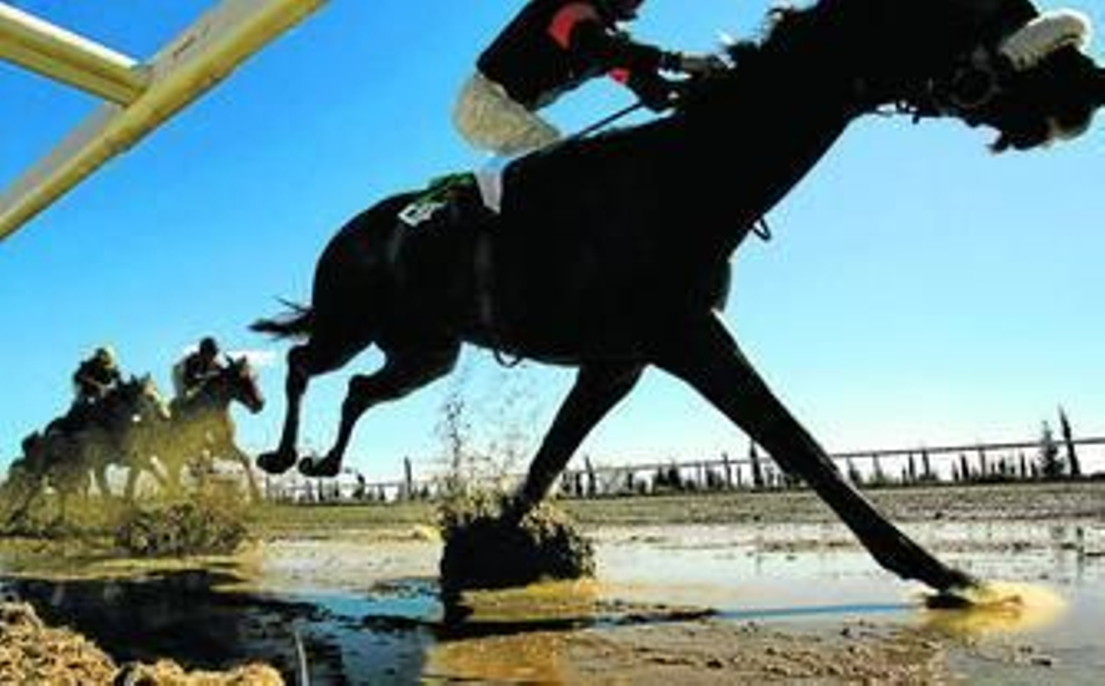 Caballos durante una carrera celebrada en 2004 en el complejo hípico.