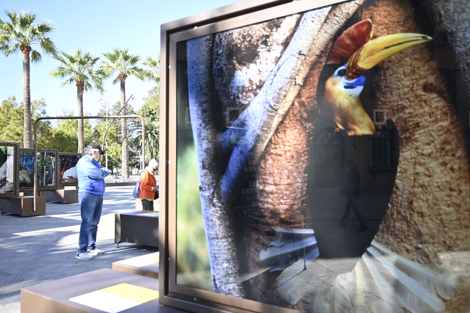 Exposición fotográfica `De Polo a Polo´ en imágenes