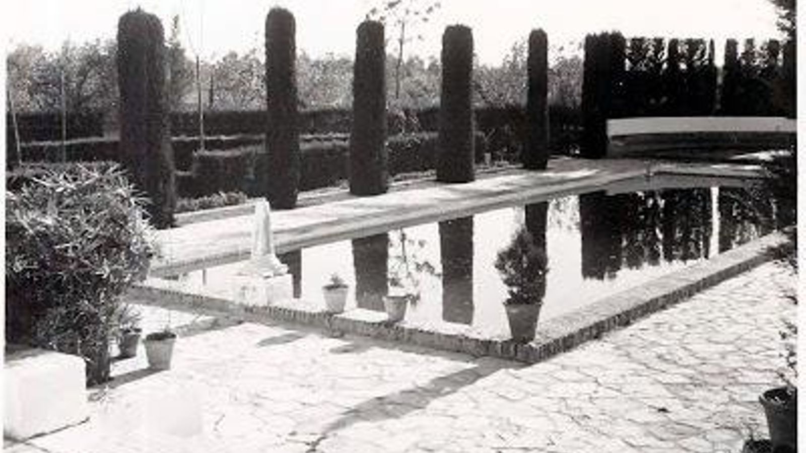 Estanque en la Huerta de la Noria.