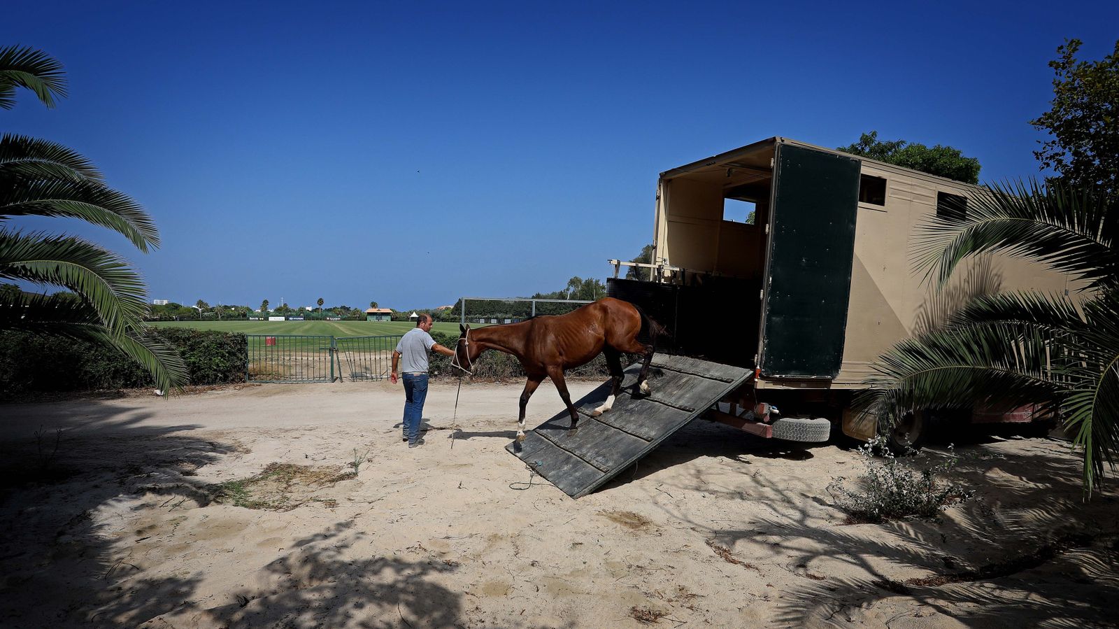 El polo desde dentro