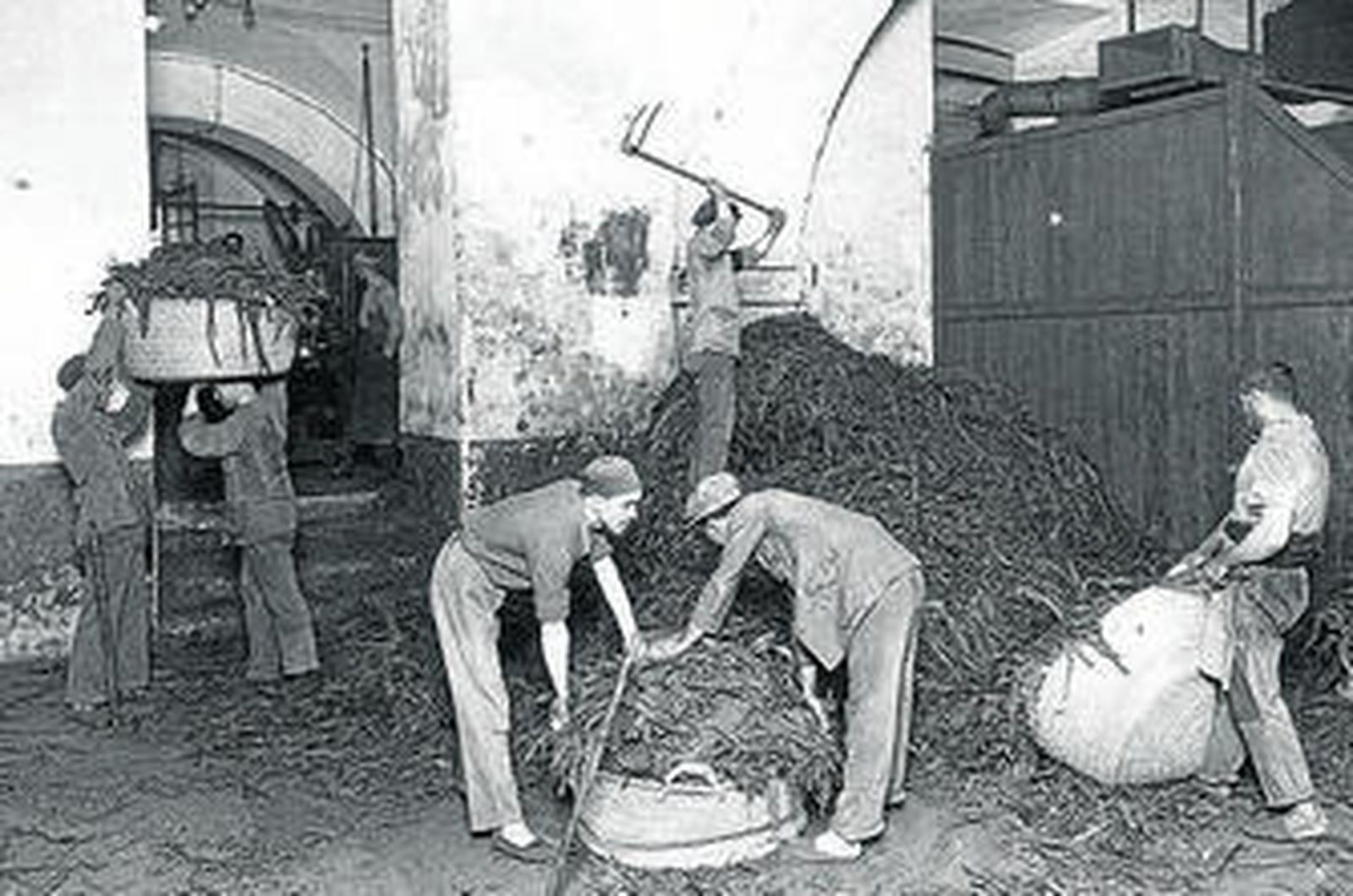 Entrega oficial de los depósitos de tabacos de Puntales