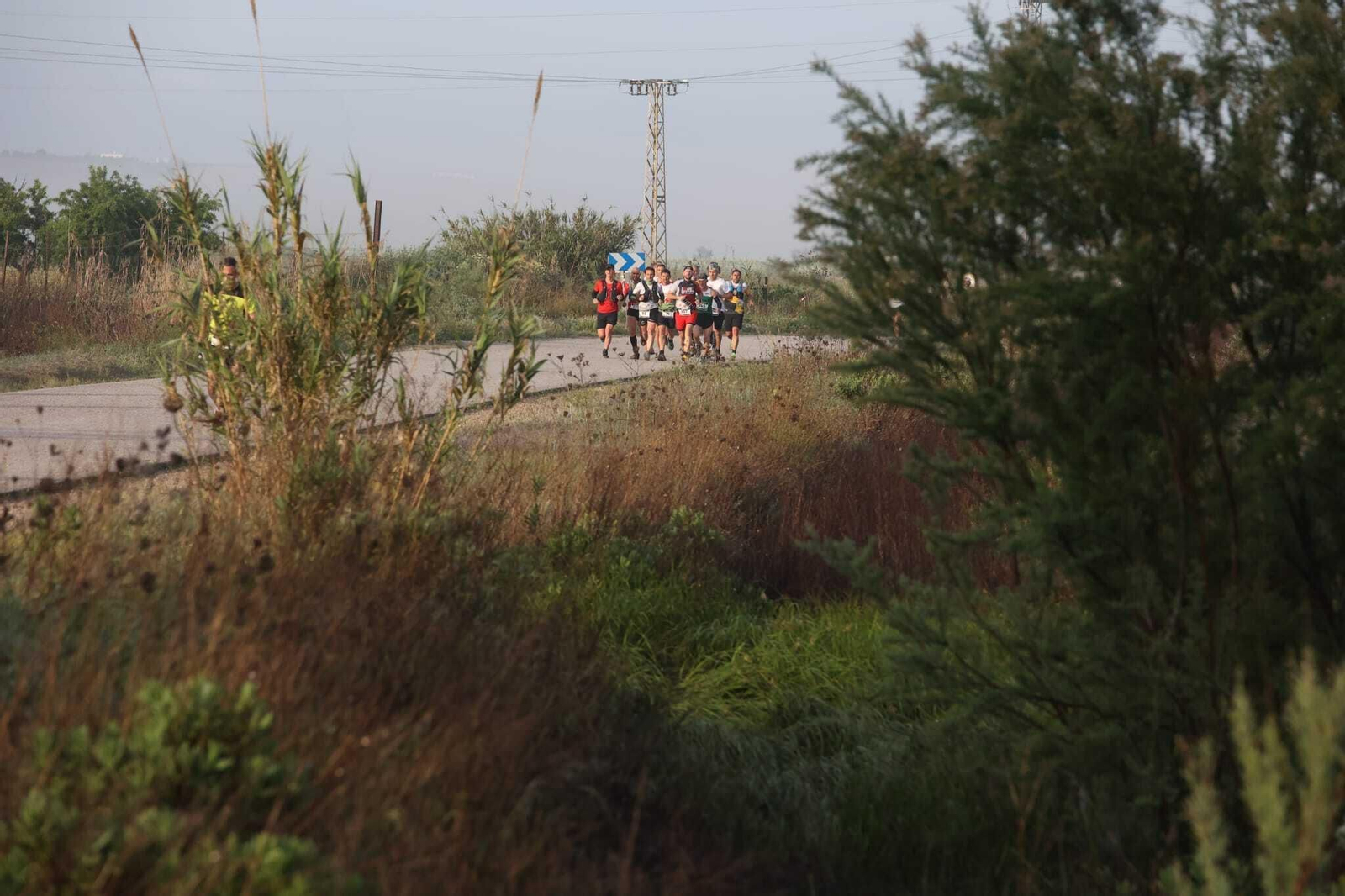 Imágenes de la V Sherry Maratón de Jerez