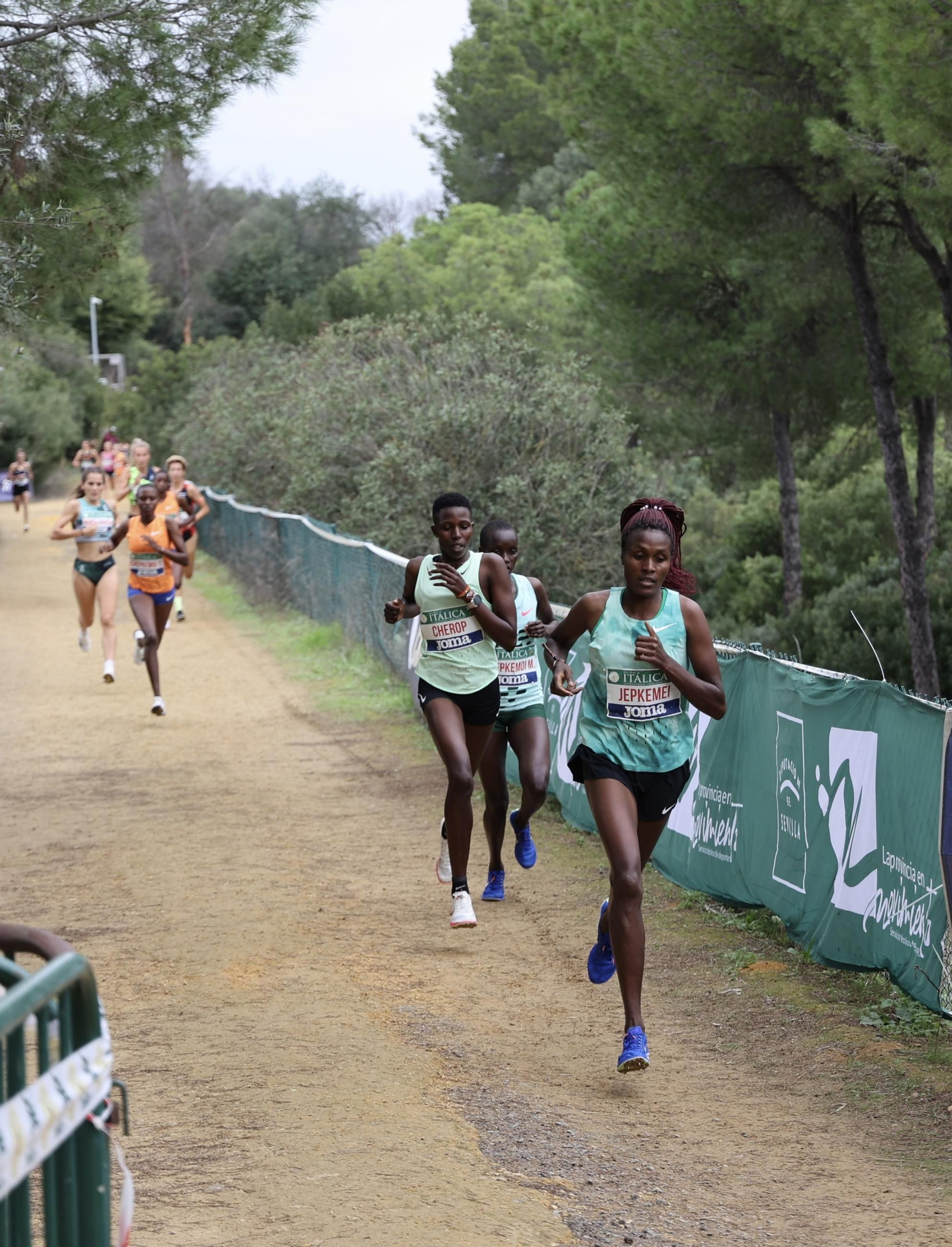 Cross Internacional de Itálica