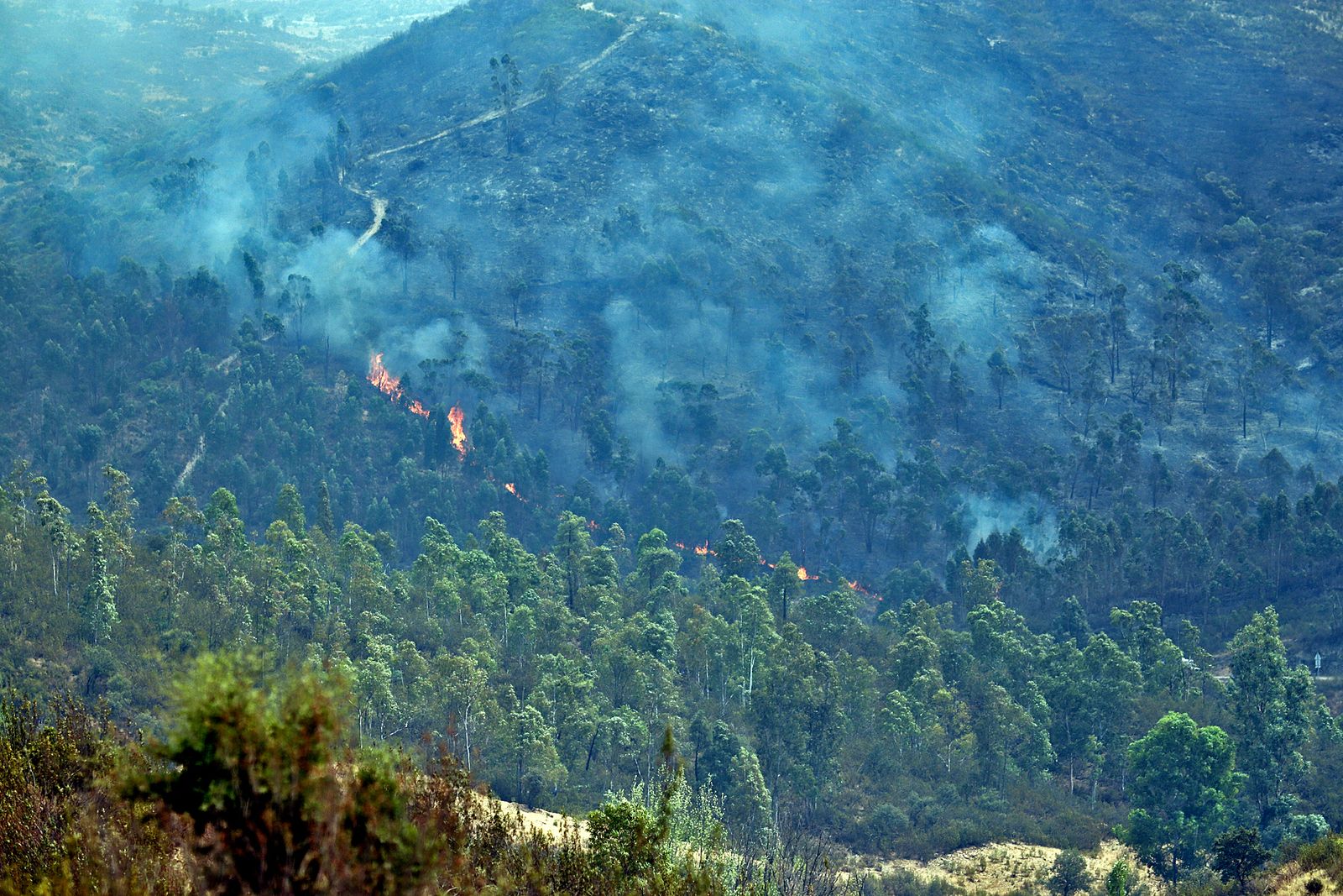 Imágenes de la devastación que deja a su paso el incendio de Almonaster la real.