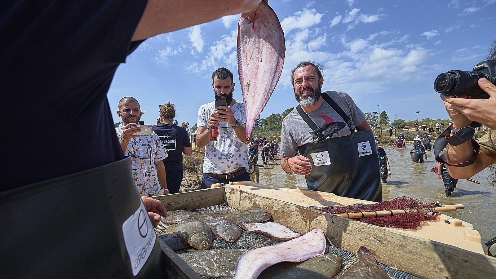 Lenguados recién pescados.