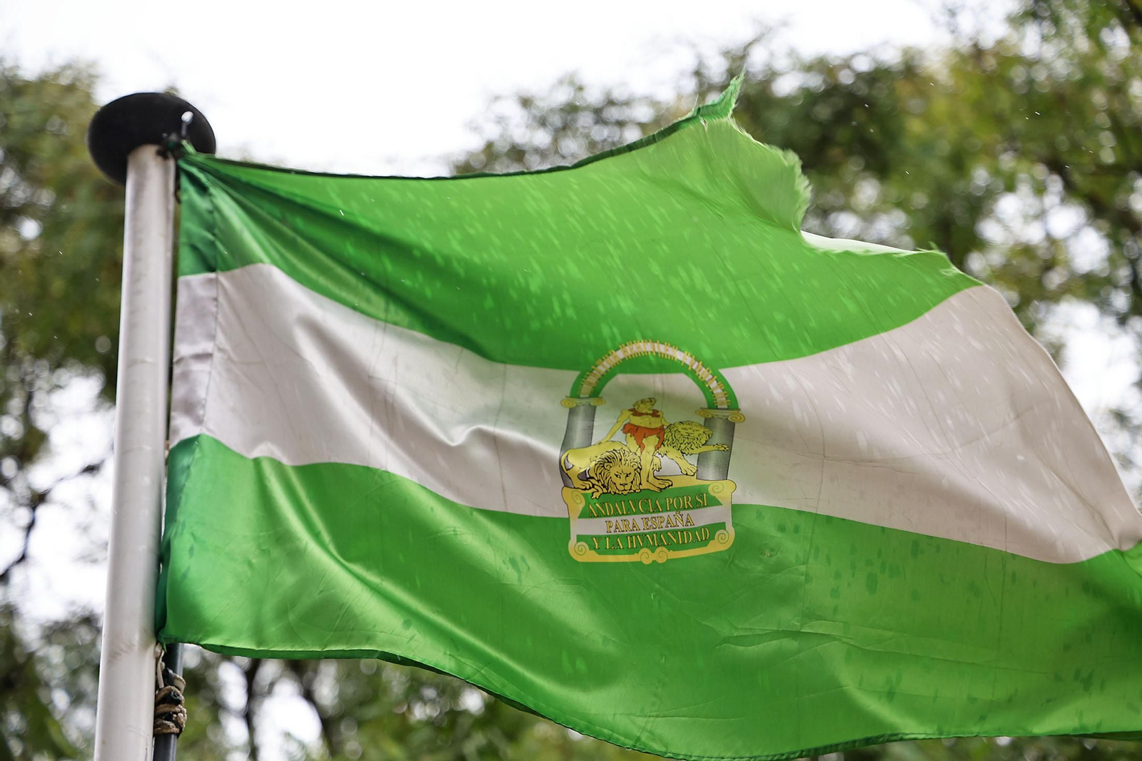 Las imágenes más destacadas del viernes 28 de febrero en Huelva