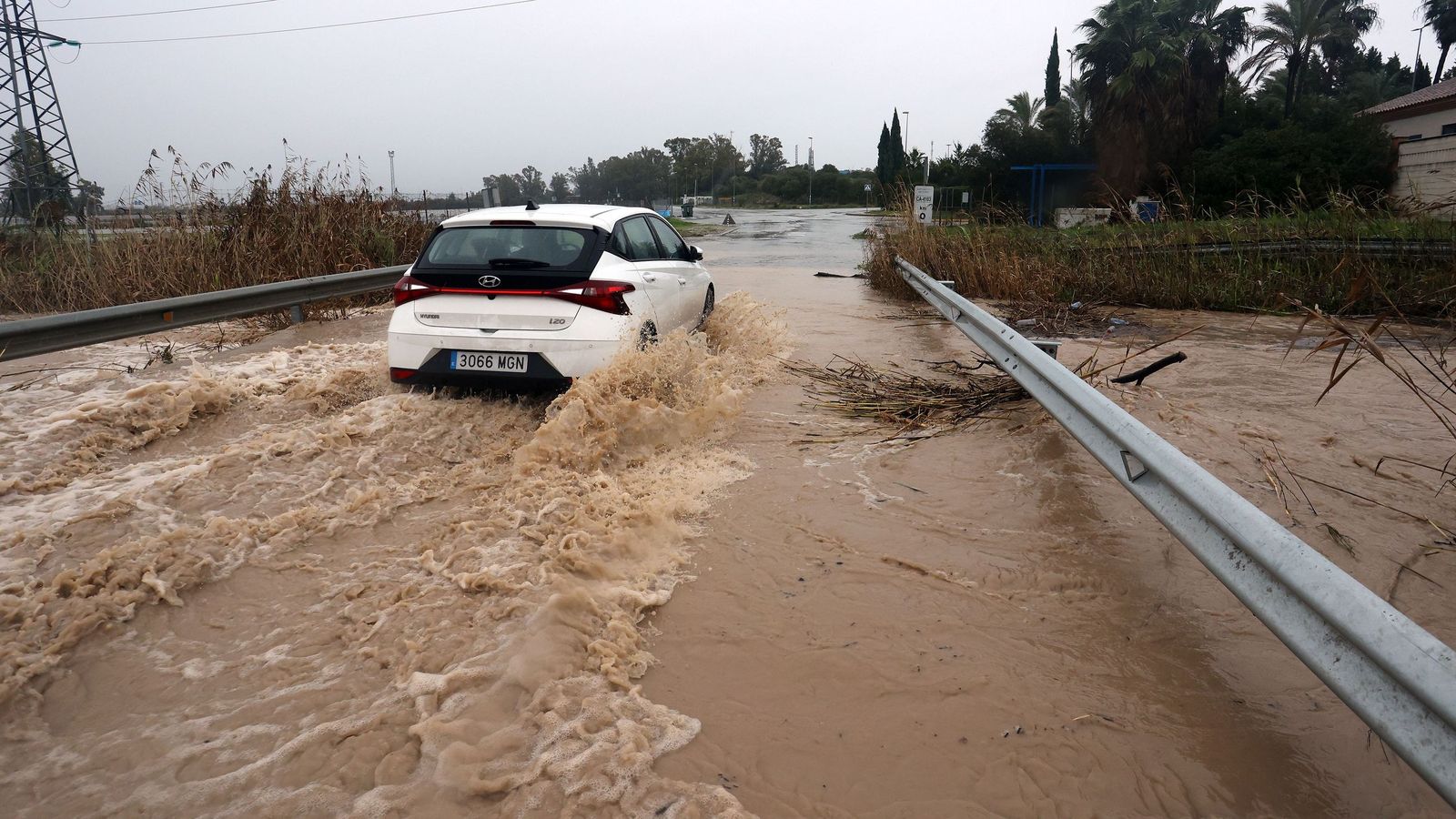Imágenes del paseo rural por Jerez en el estreno de la borrasca Marta