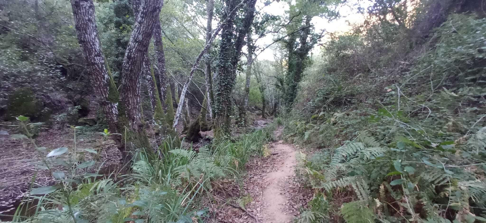 Las imágenes de la Ruta del charco malo